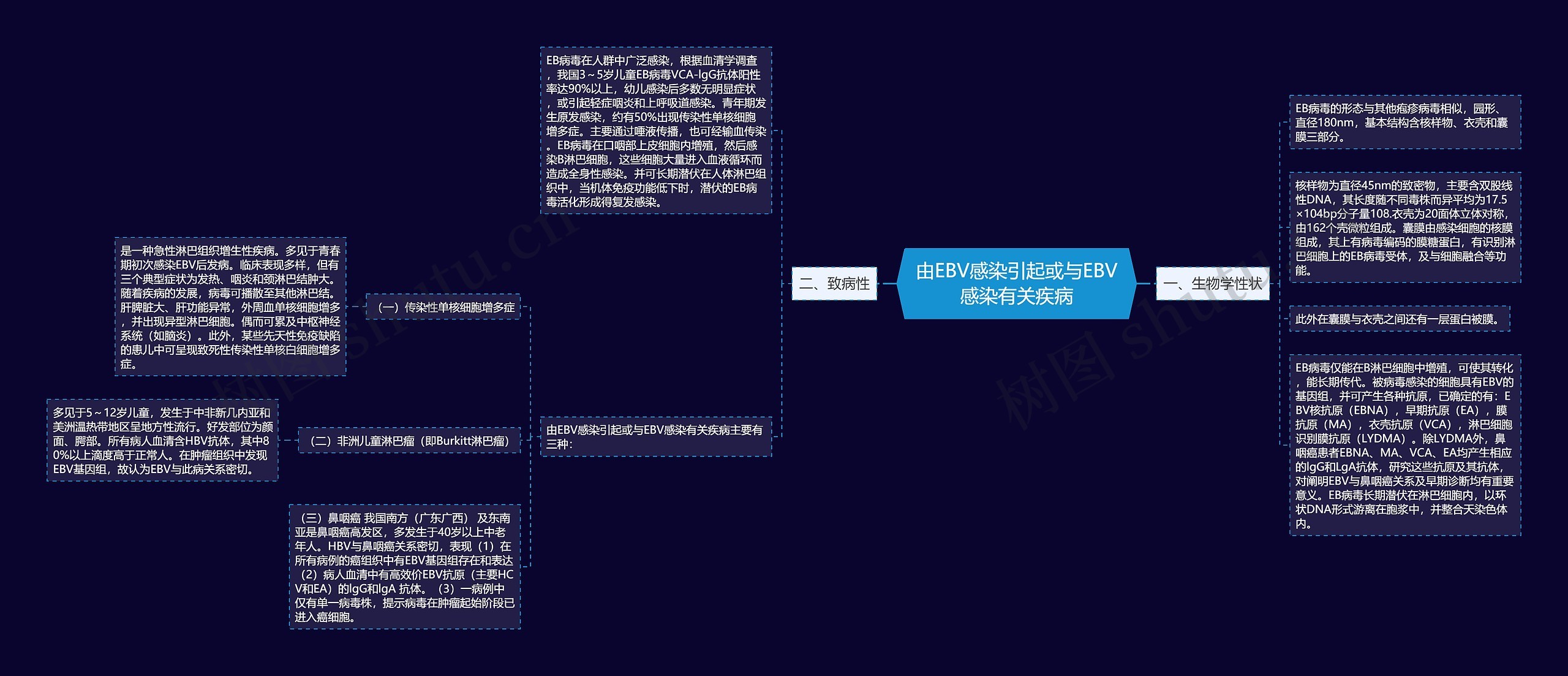 由EBV感染引起或与EBV感染有关疾病