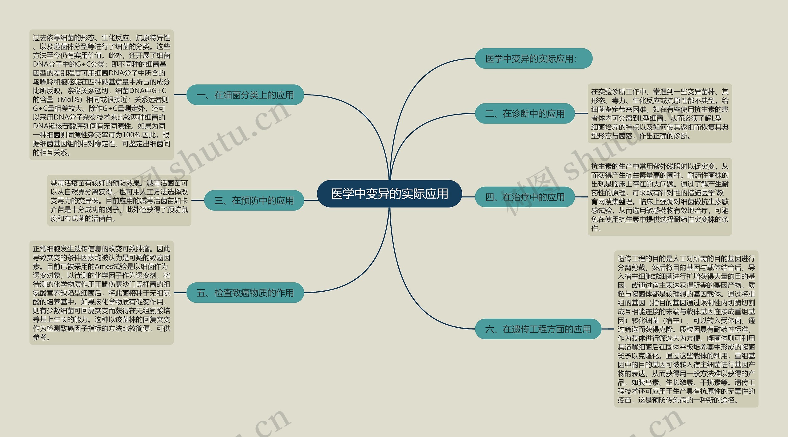 医学中变异的实际应用思维导图