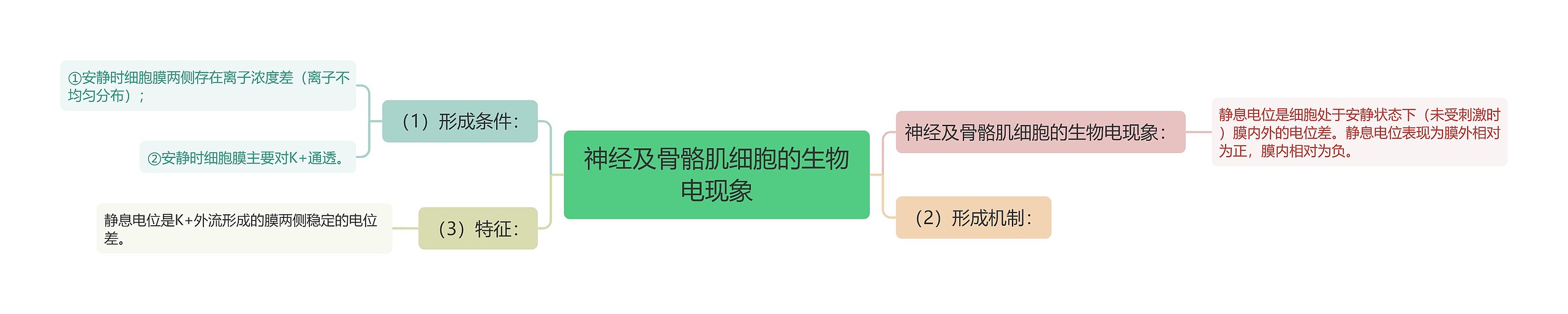 神经及骨骼肌细胞的生物电现象思维导图