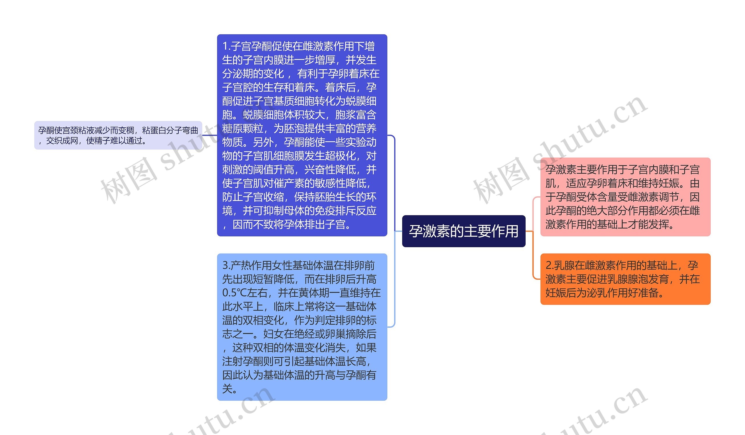 孕激素的主要作用思维导图