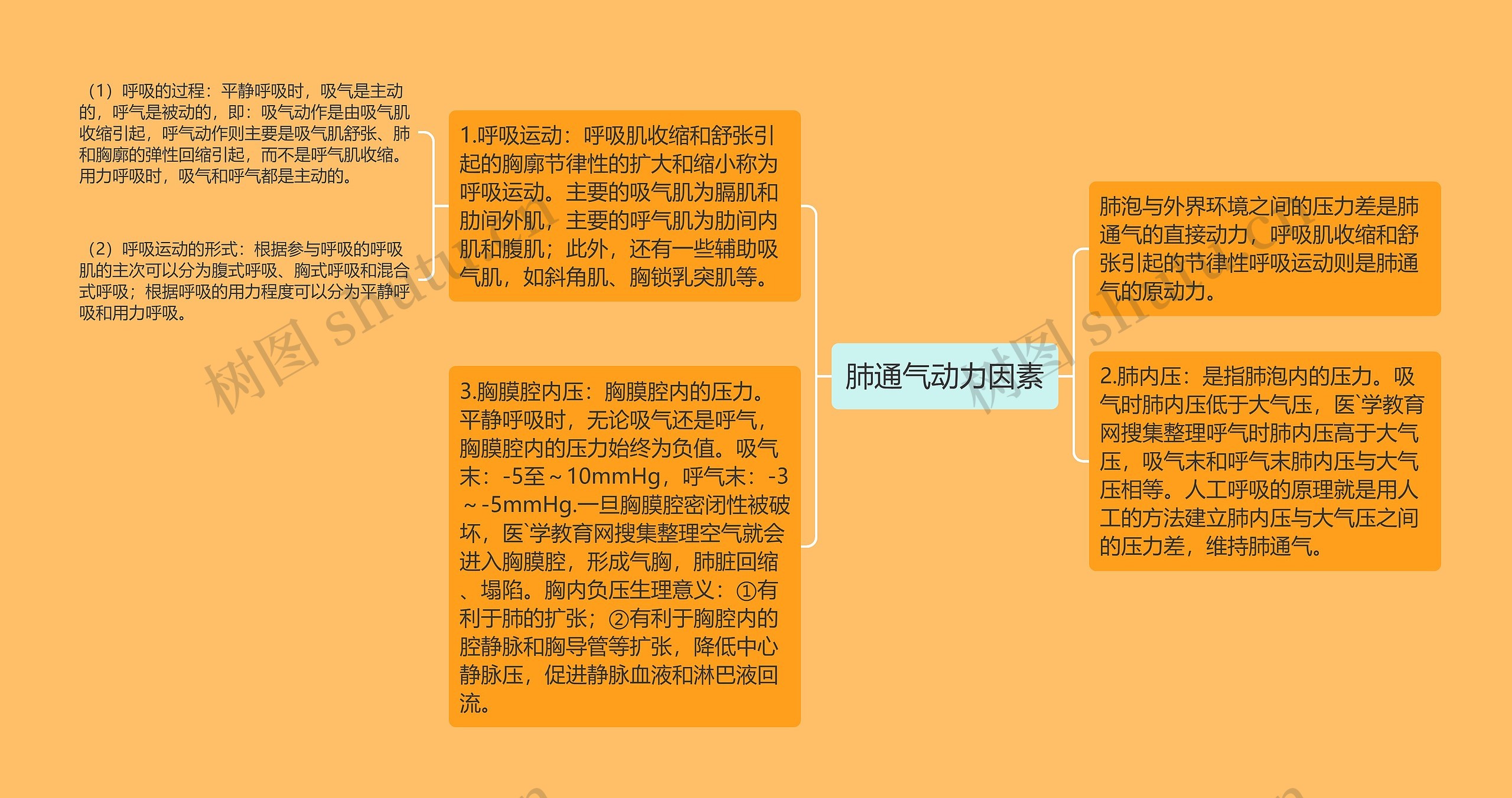 肺通气动力因素思维导图