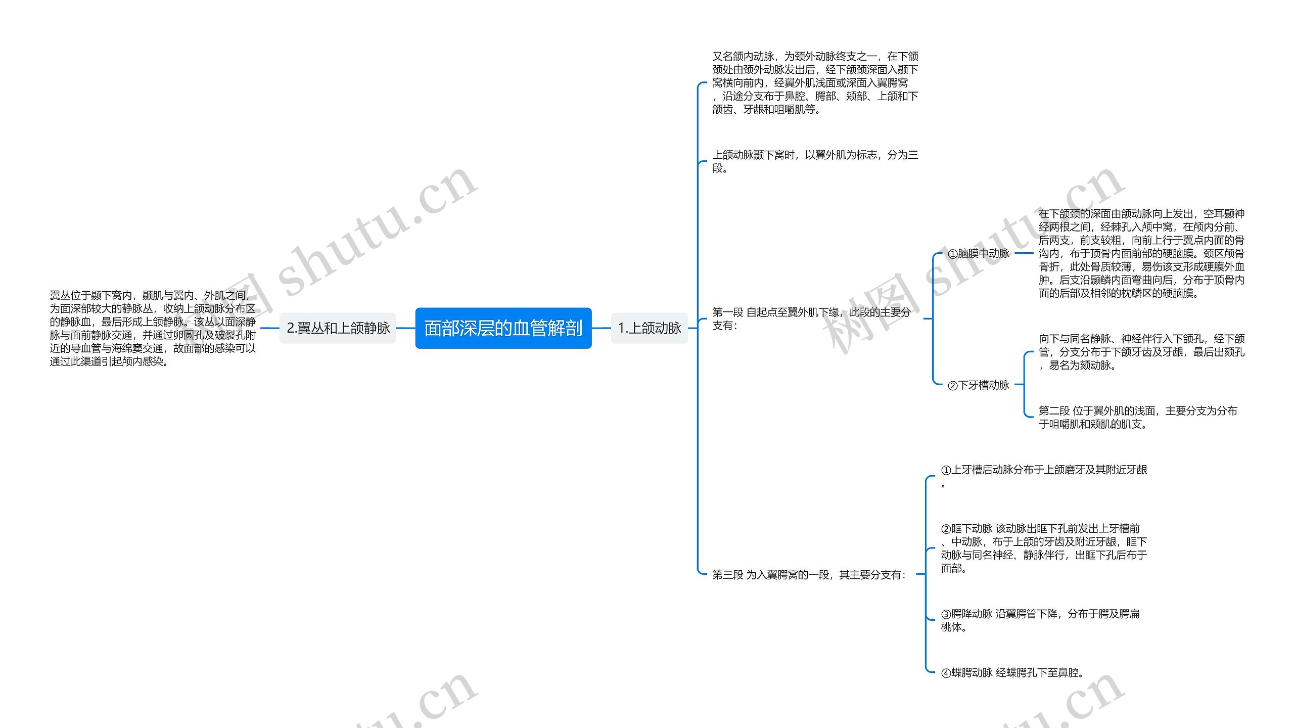 面部深层的血管解剖思维导图