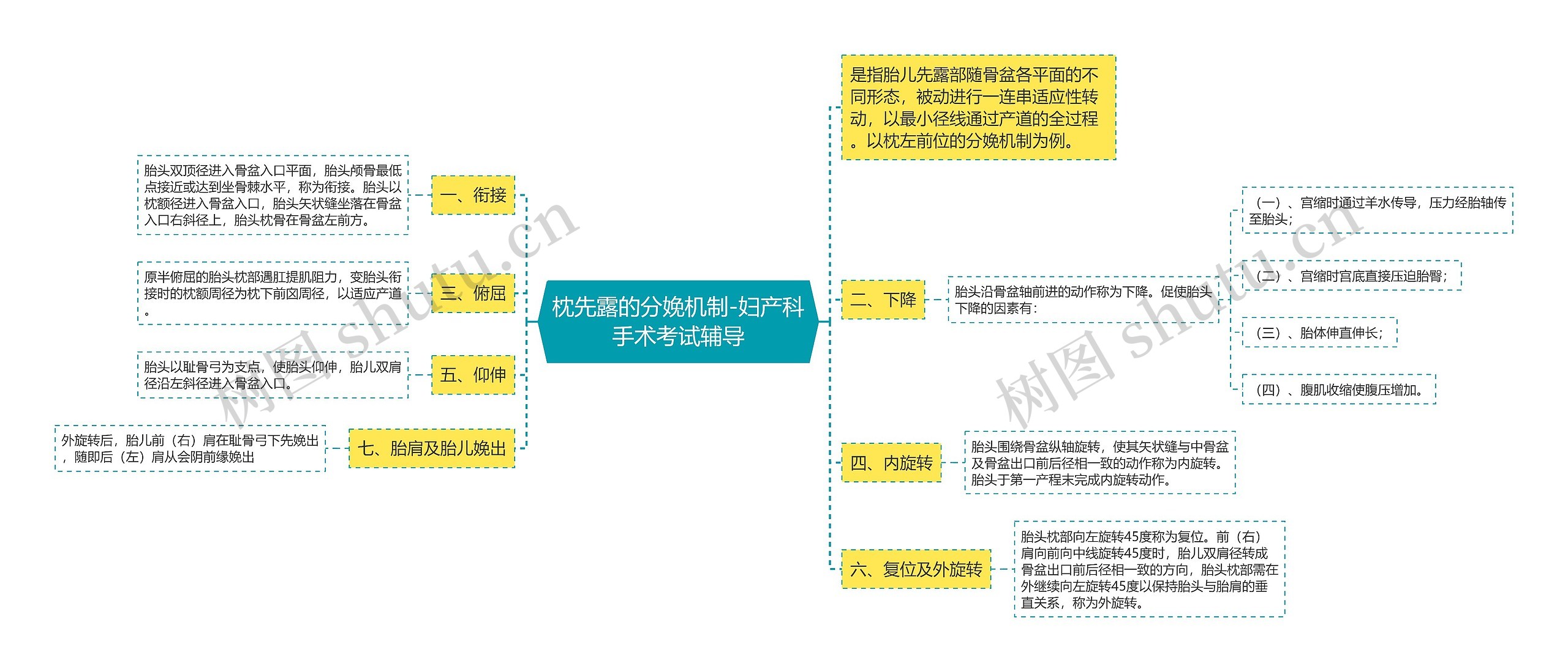 枕先露的分娩机制-妇产科手术考试辅导思维导图