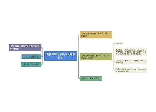 食管癌组织学类型及病理分型