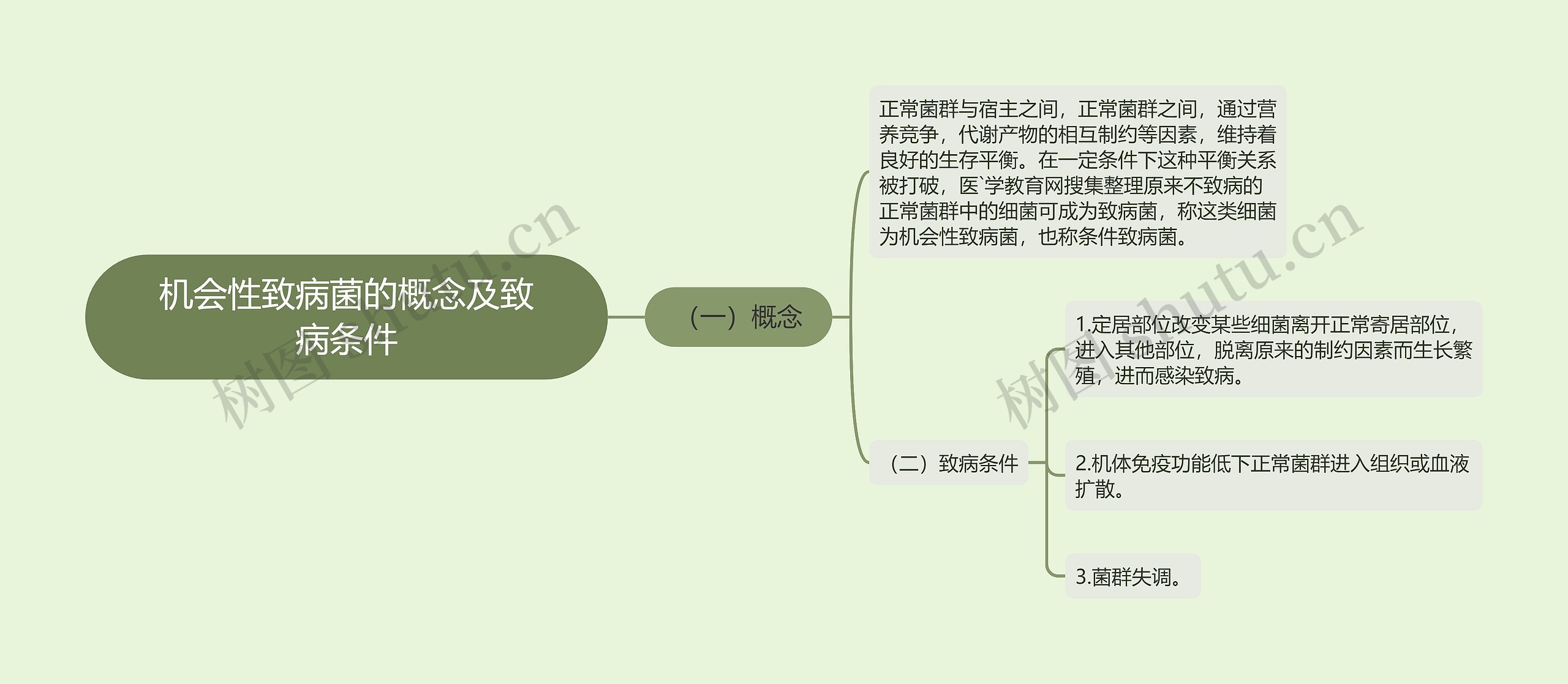 机会性致病菌的概念及致病条件思维导图