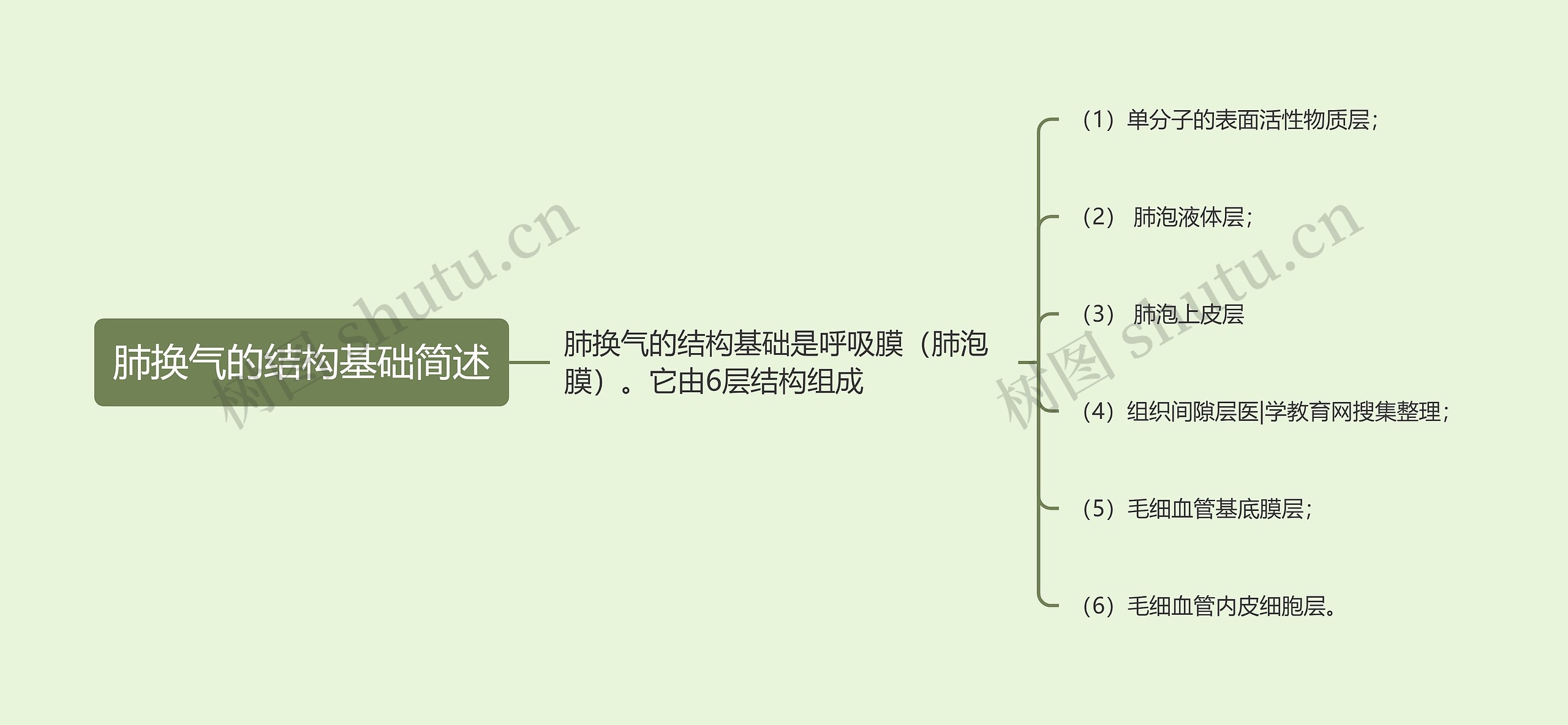 肺换气的结构基础简述思维导图