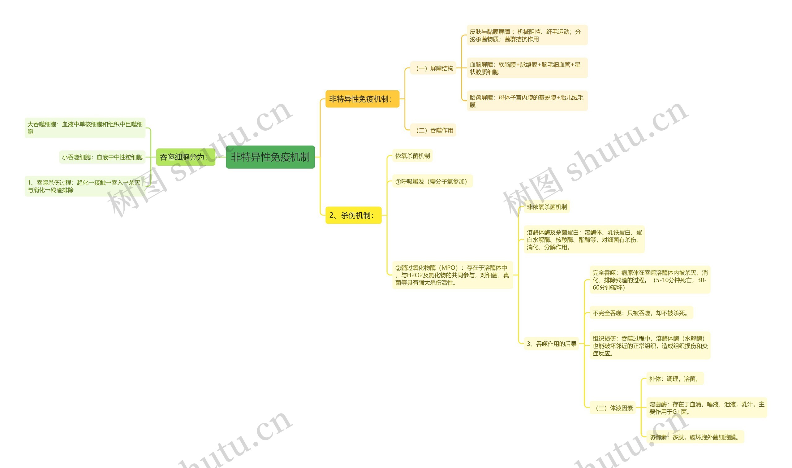 非特异性免疫机制思维导图