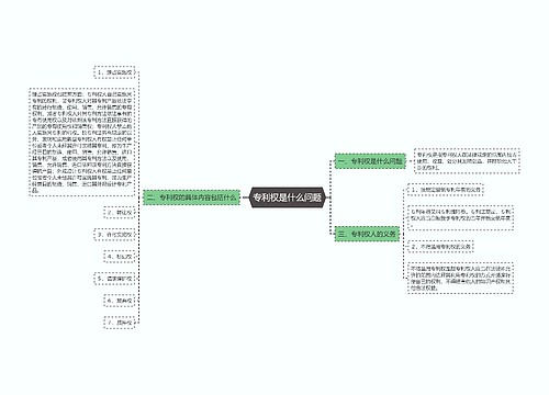 专利权是什么问题