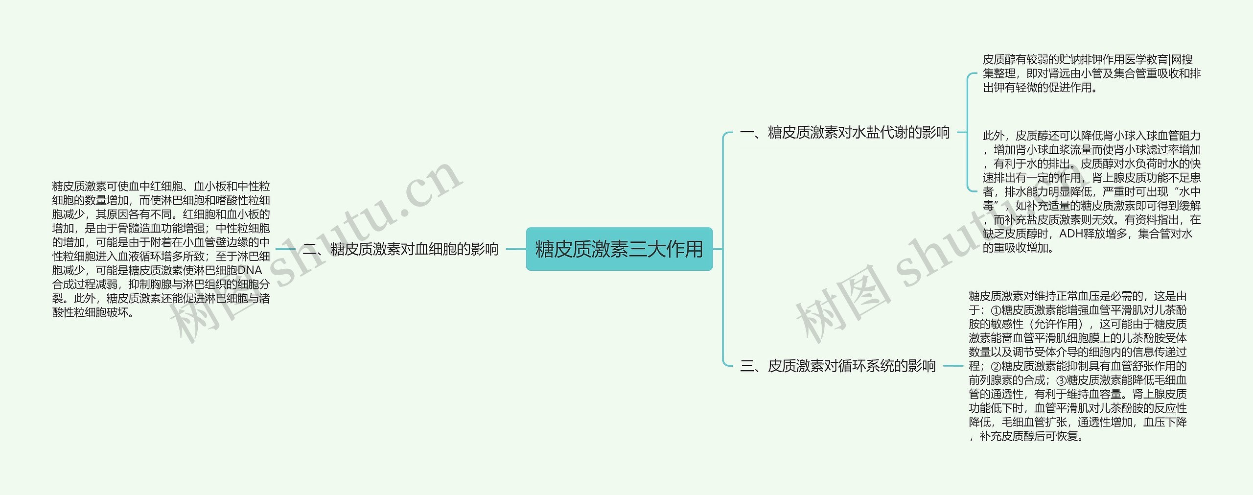 糖皮质激素三大作用