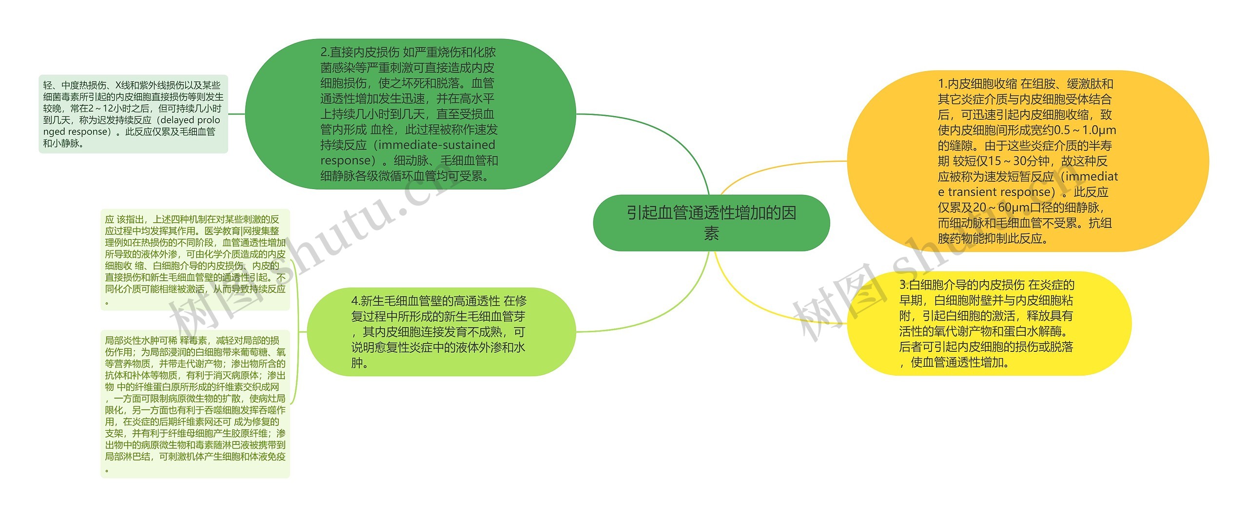 引起血管通透性增加的因素思维导图