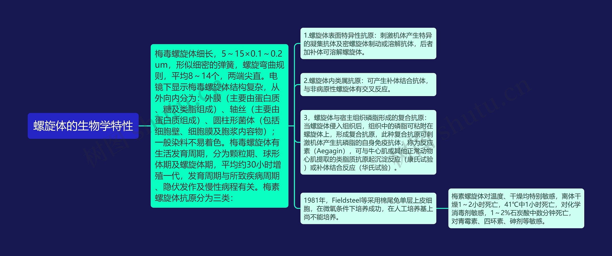 螺旋体的生物学特性思维导图