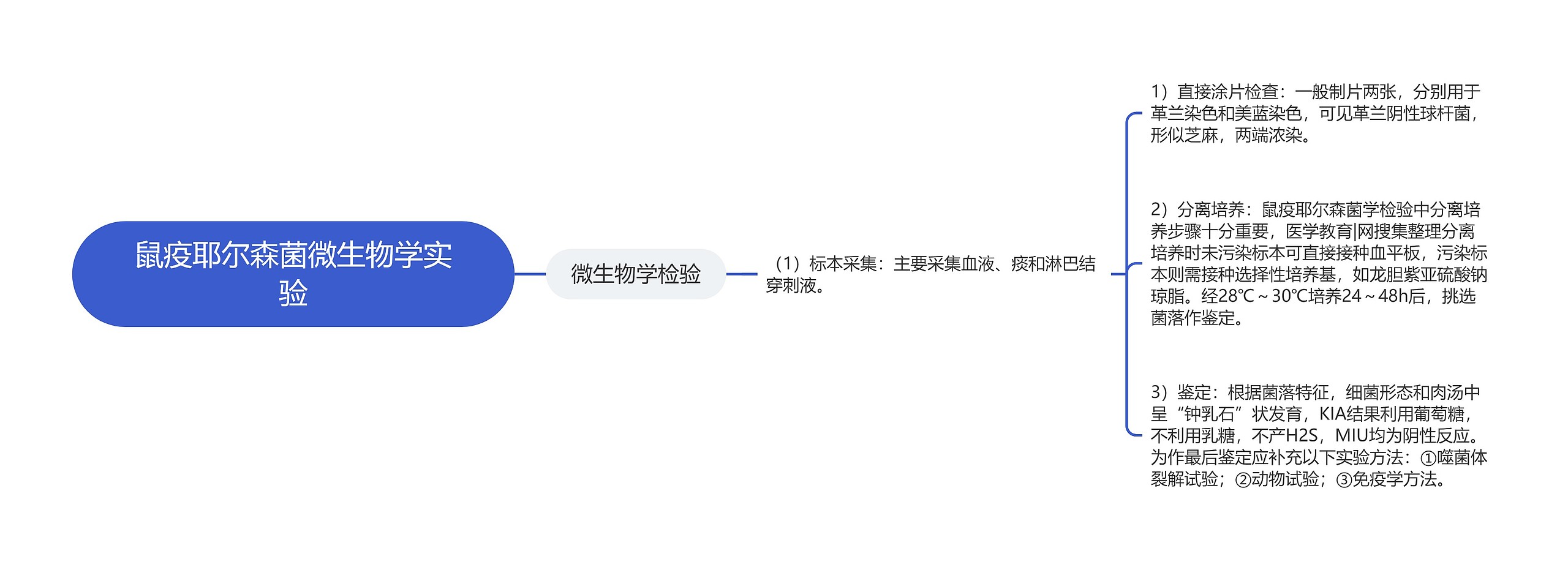 鼠疫耶尔森菌微生物学实验