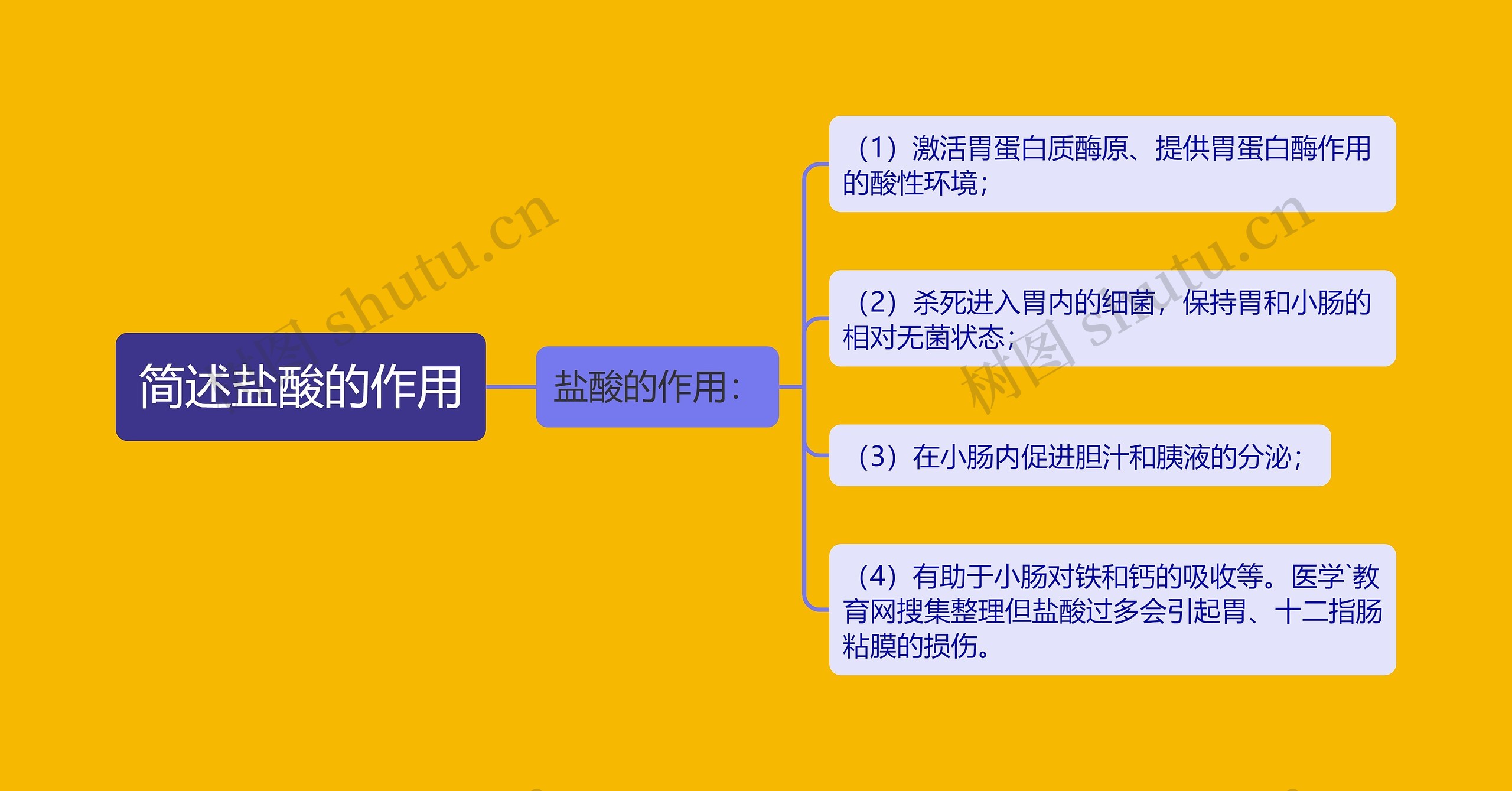 简述盐酸的作用思维导图