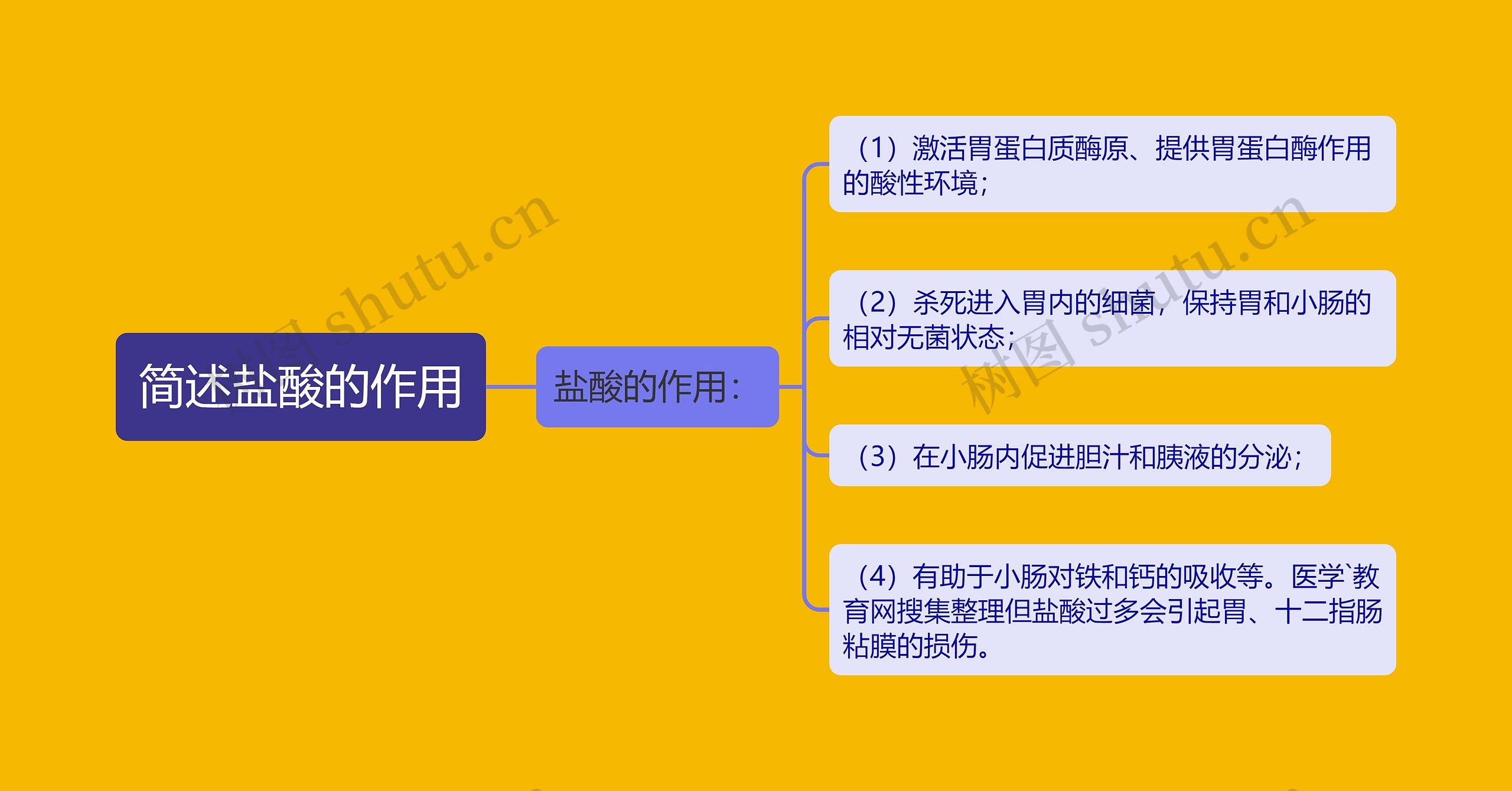 简述盐酸的作用 简述盐酸的作用