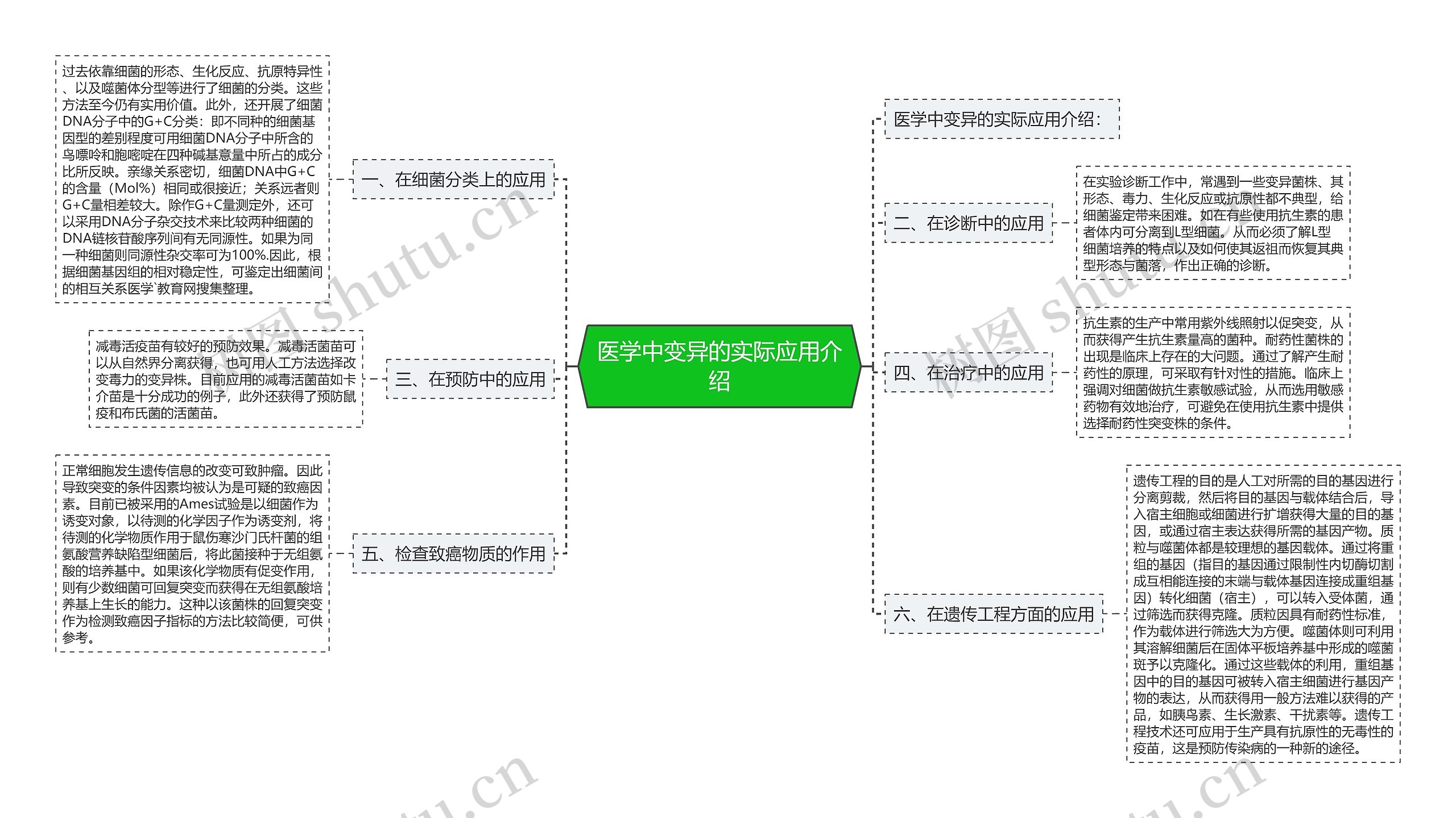 医学中变异的实际应用介绍思维导图