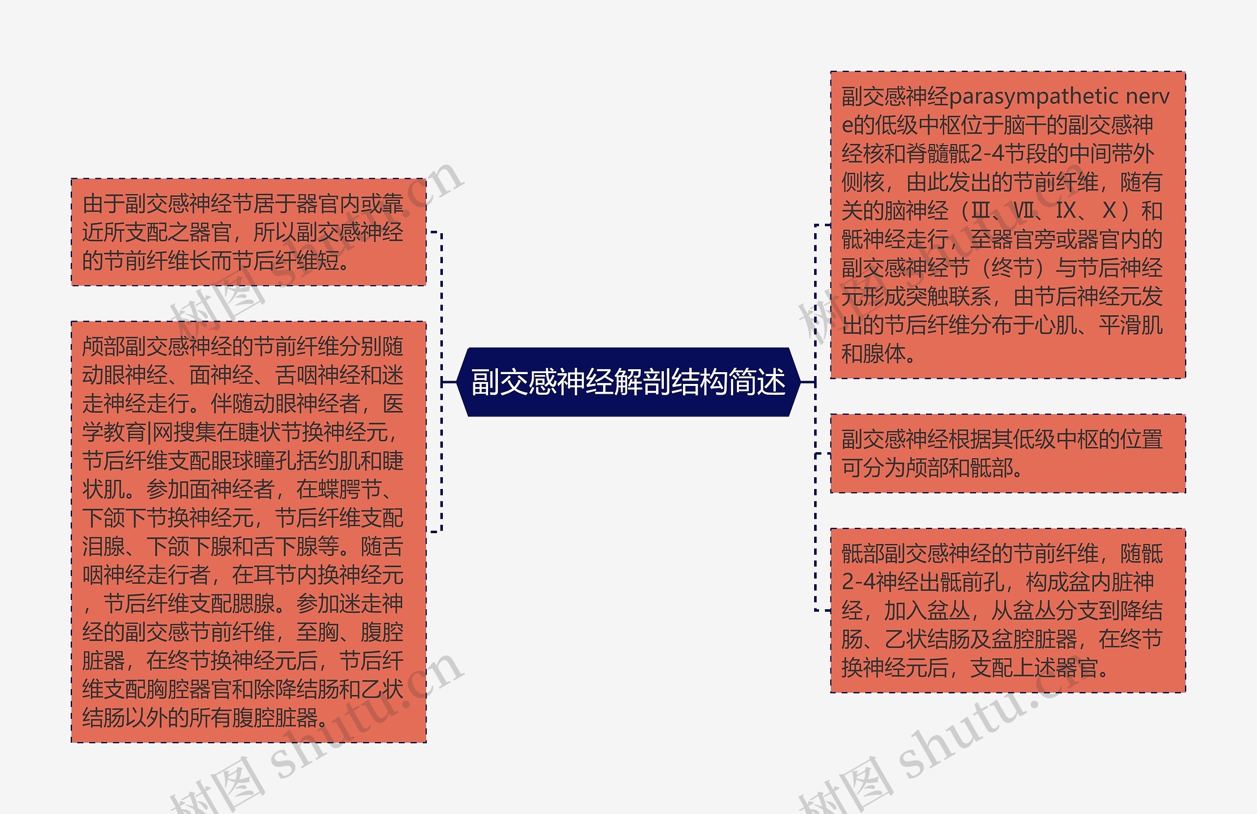 副交感神经解剖结构简述思维导图