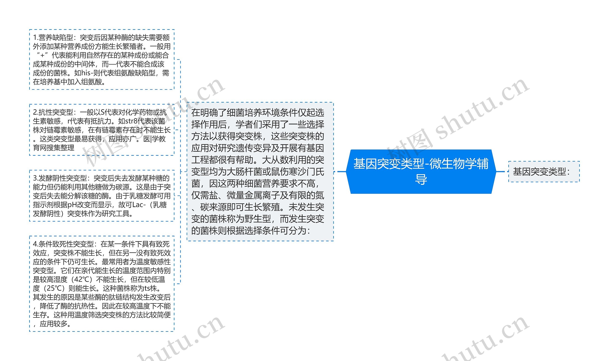 基因突变类型-微生物学辅导思维导图