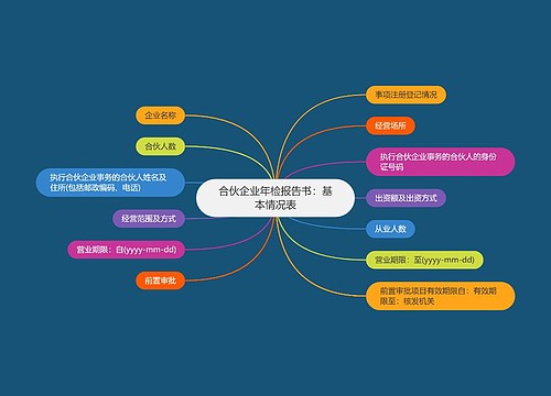 合伙企业年检报告书：基本情况表