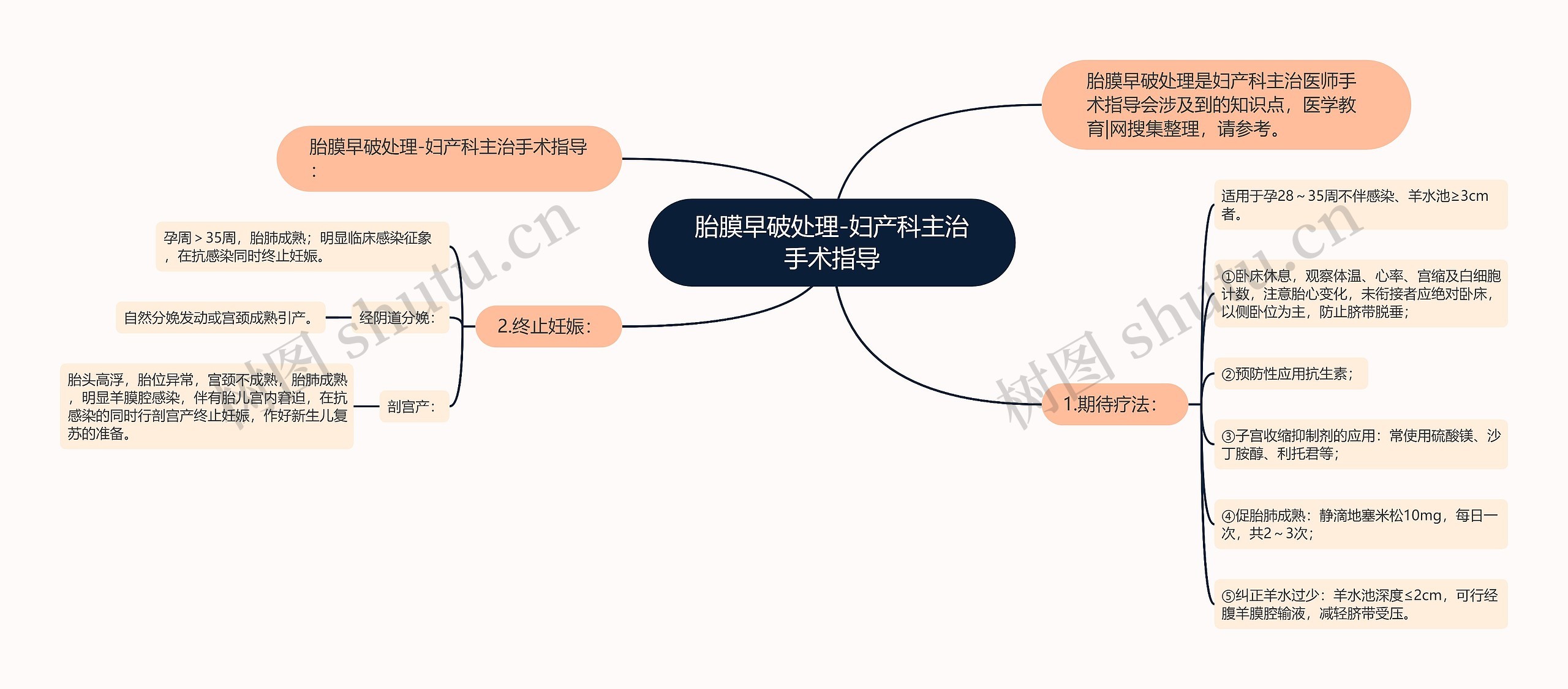 胎膜早破处理-妇产科主治手术指导思维导图