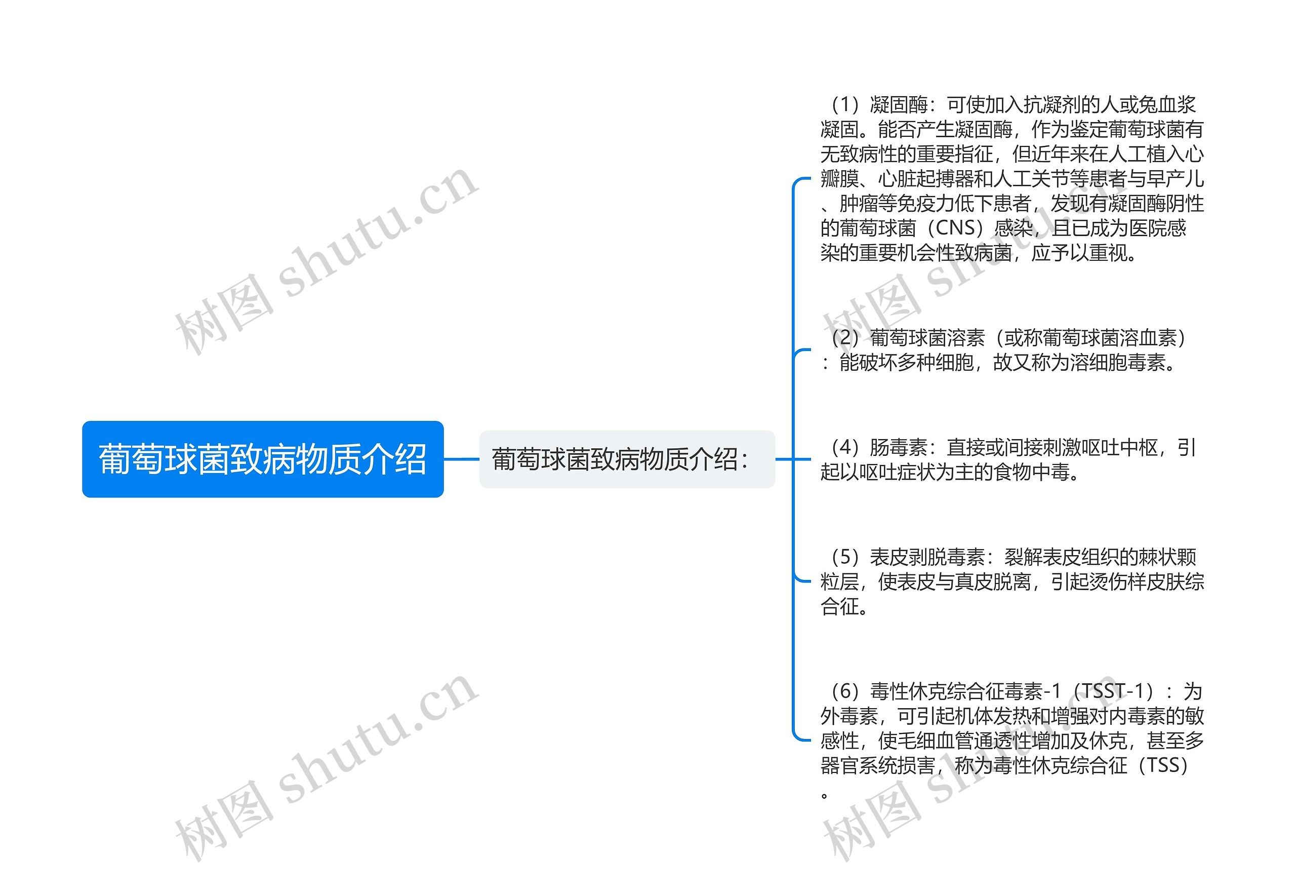 葡萄球菌致病物质介绍