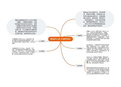 静脉的分类-生理学指导