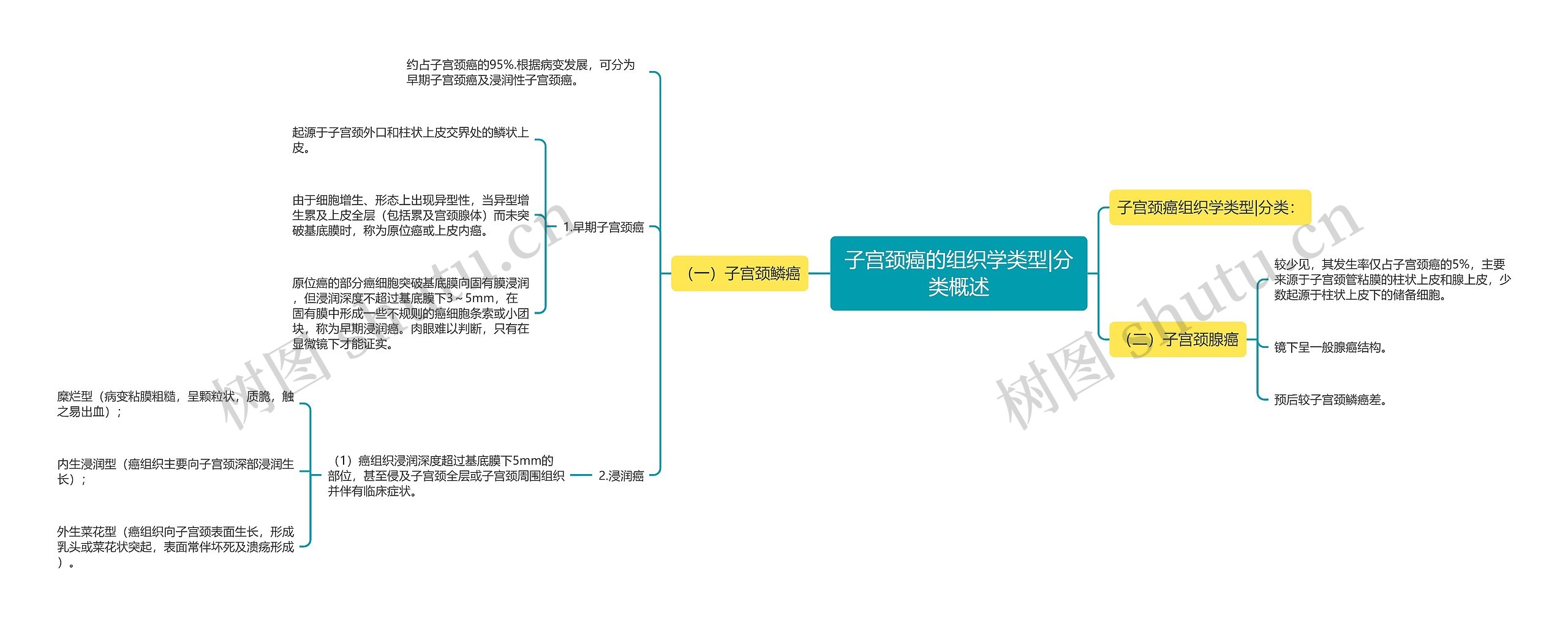 子宫颈癌的组织学类型|分类概述