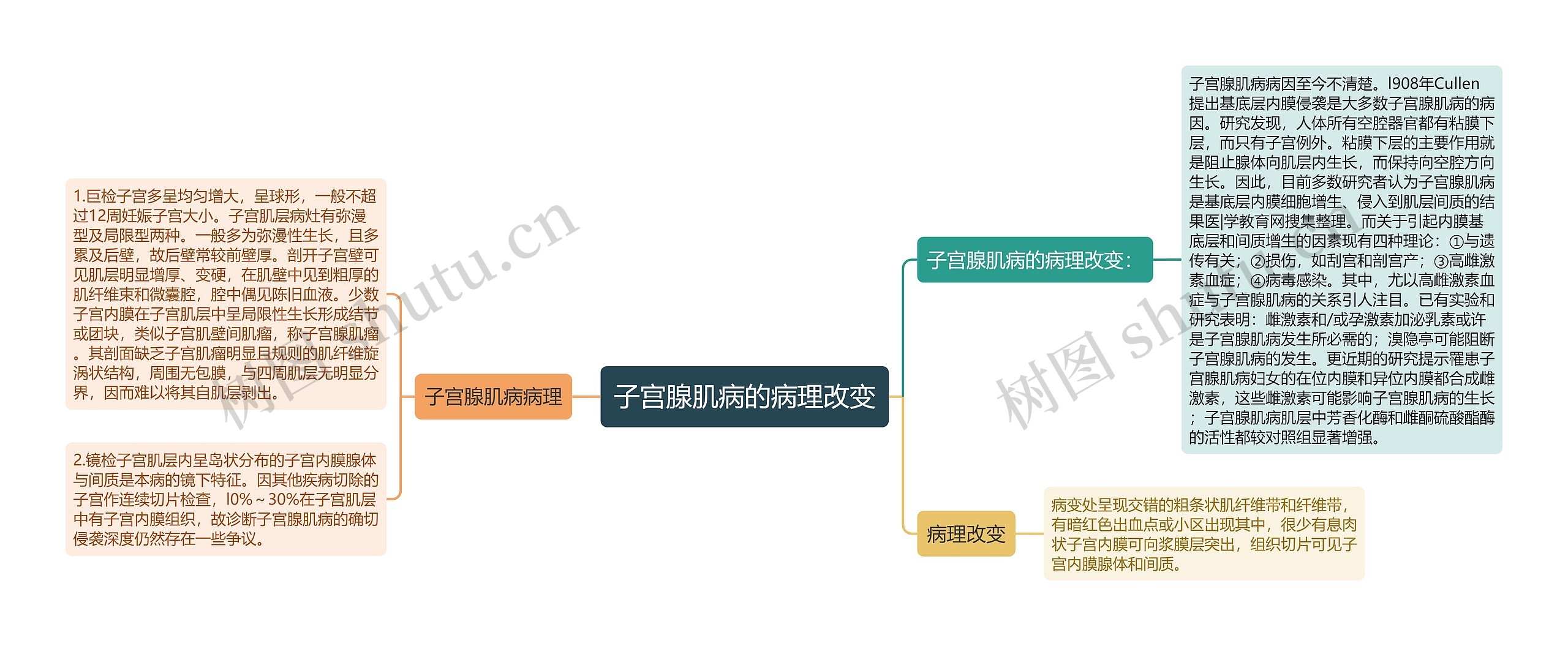 子宫腺肌病的病理改变思维导图