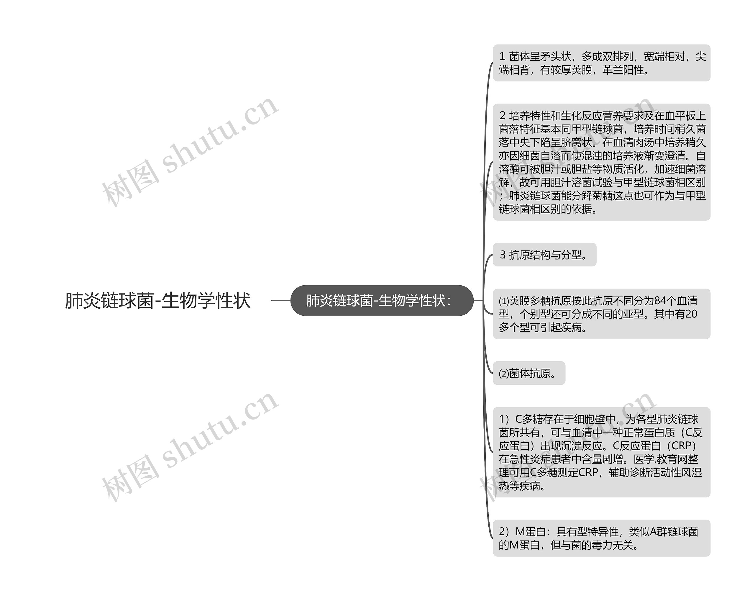 肺炎链球菌-生物学性状思维导图