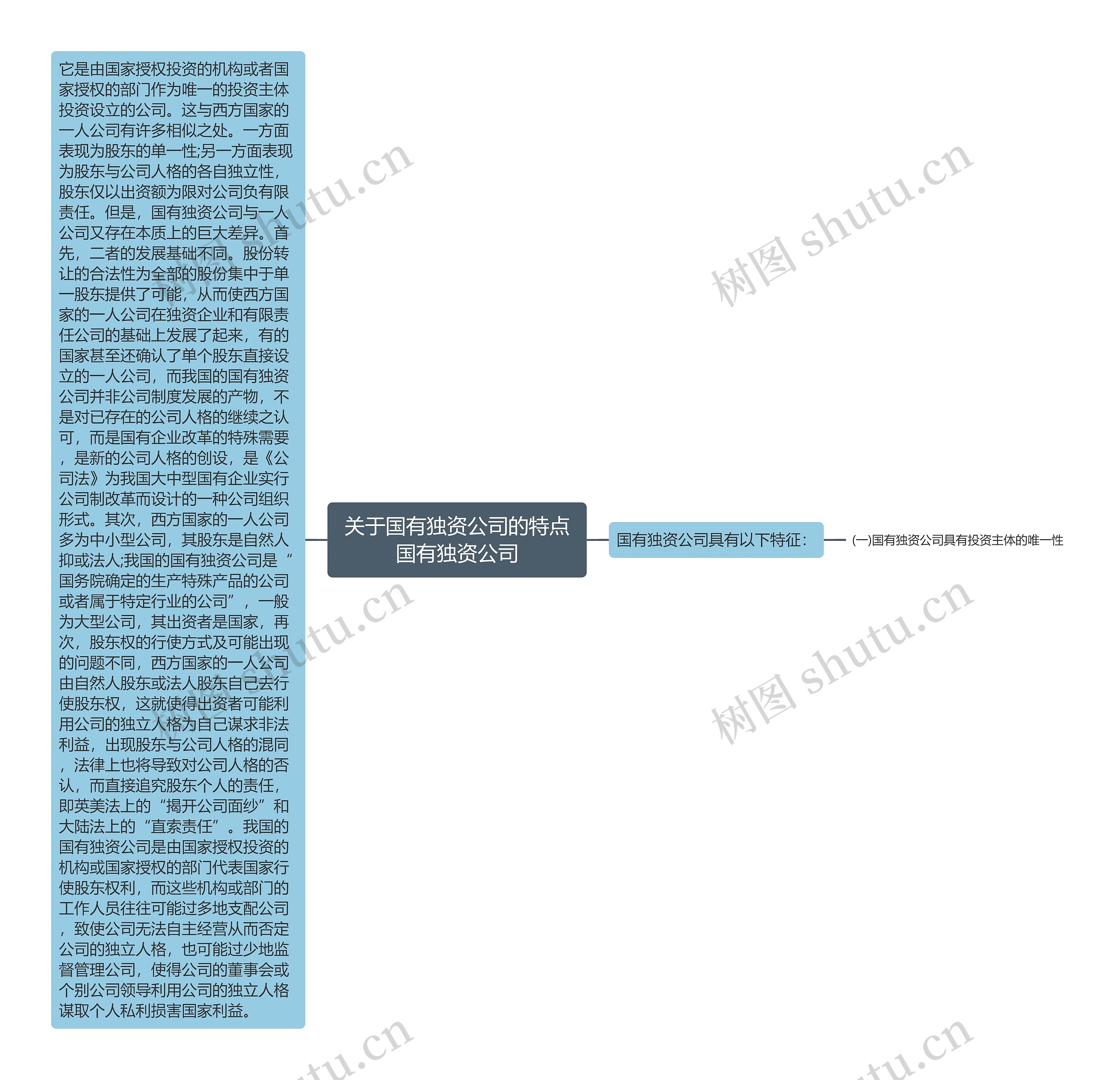 关于国有独资公司的特点国有独资公司思维导图