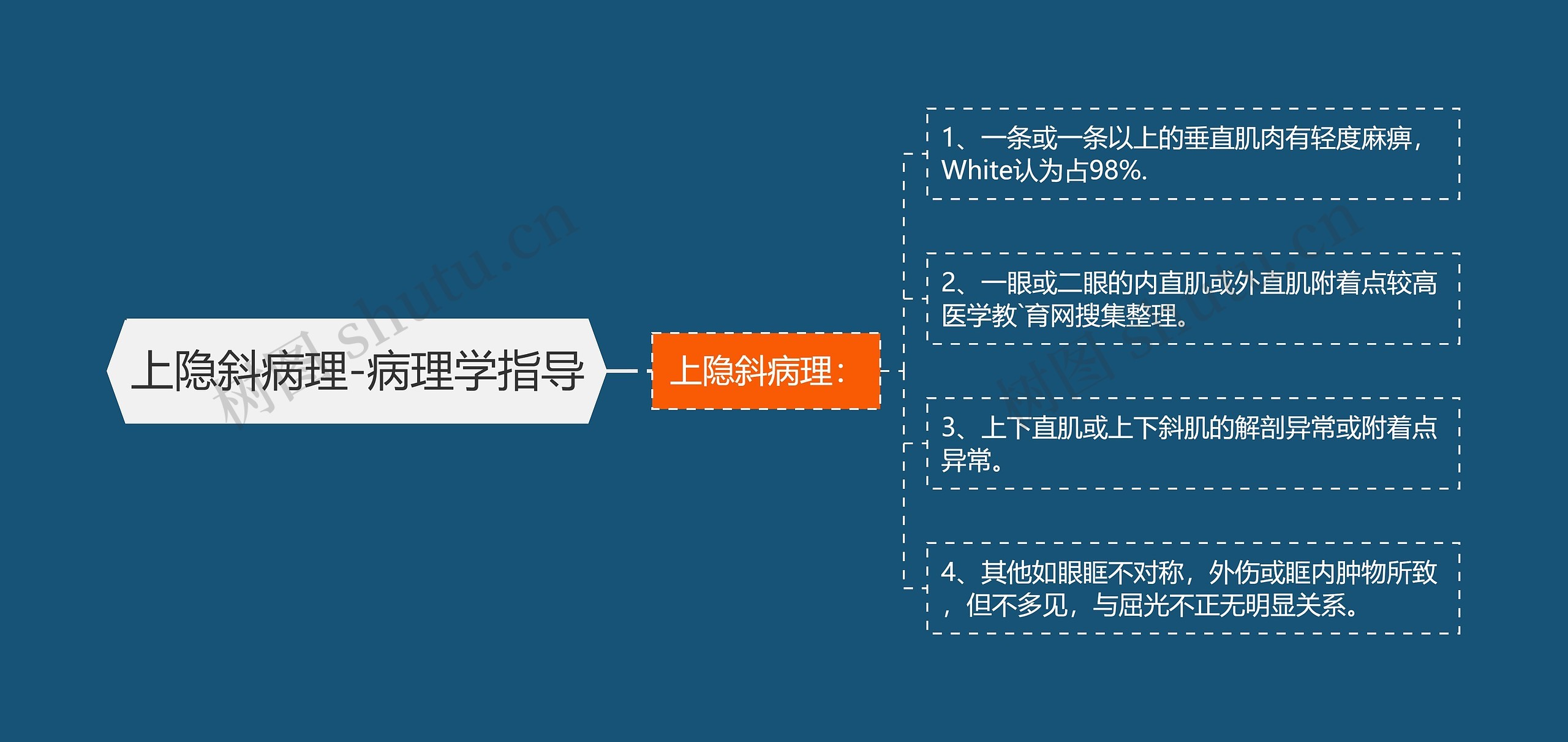 上隐斜病理-病理学指导 上隐斜病理-病理学指导