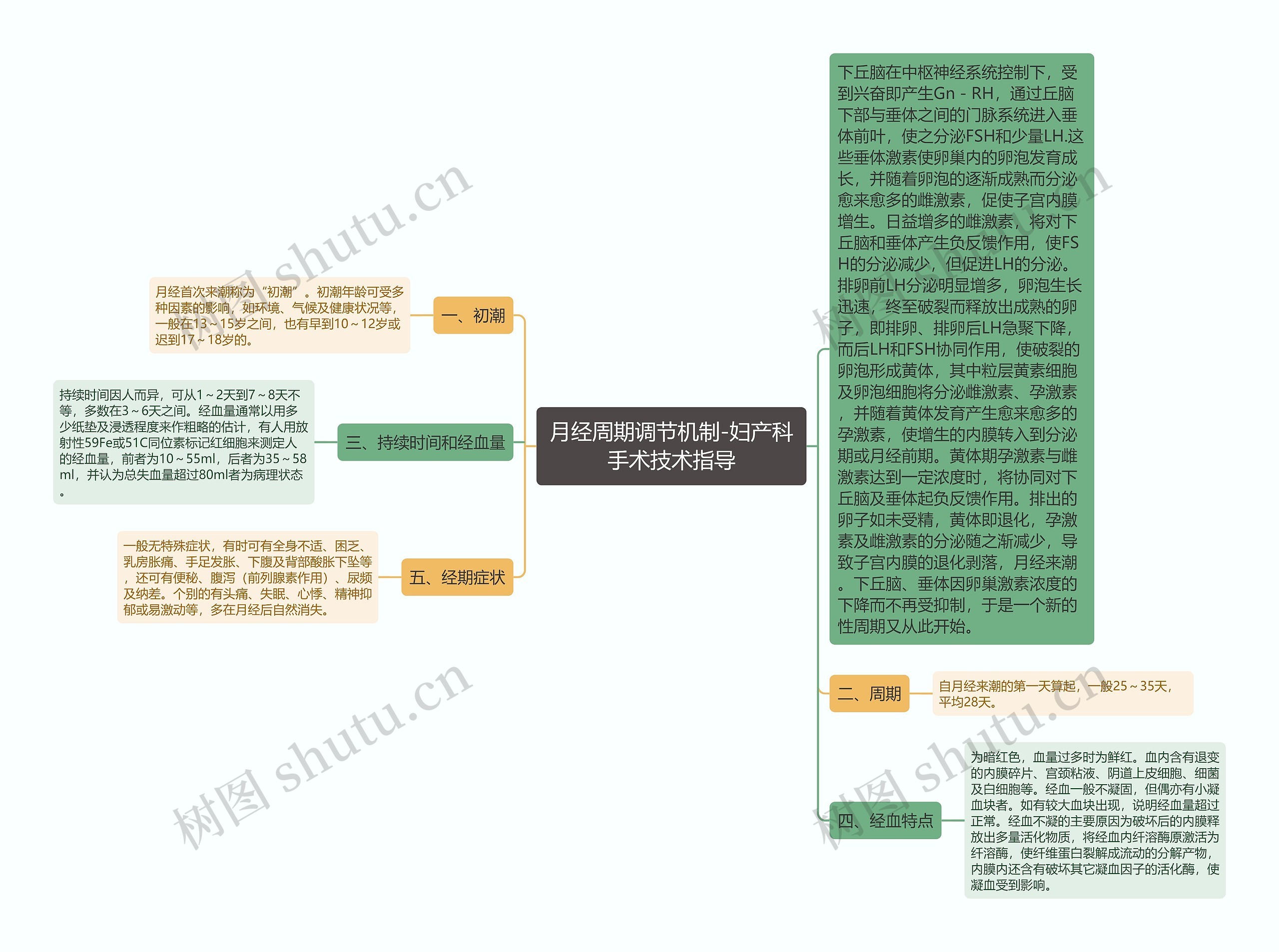 月经周期调节机制-妇产科手术技术指导思维导图