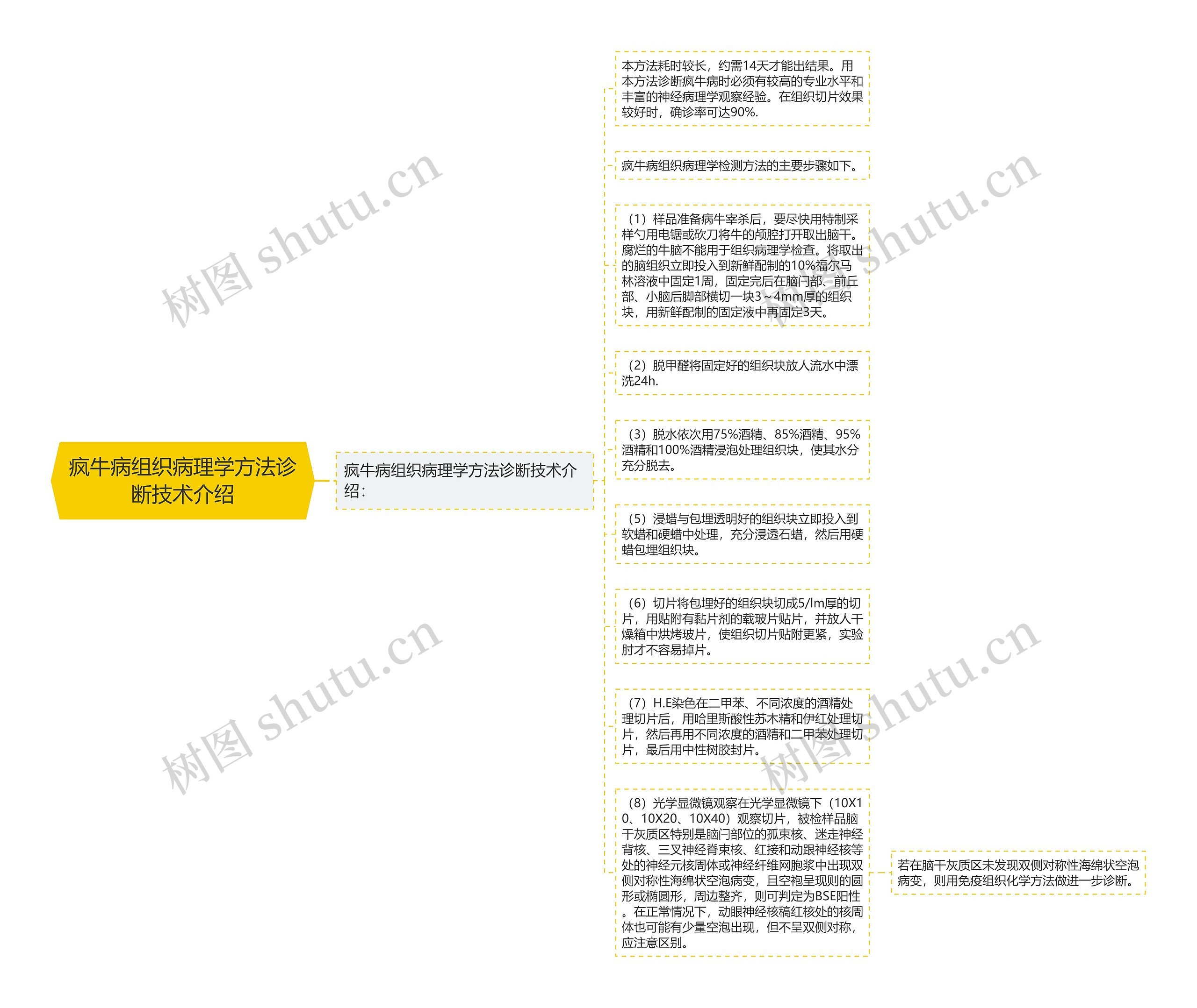 疯牛病组织病理学方法诊断技术介绍思维导图