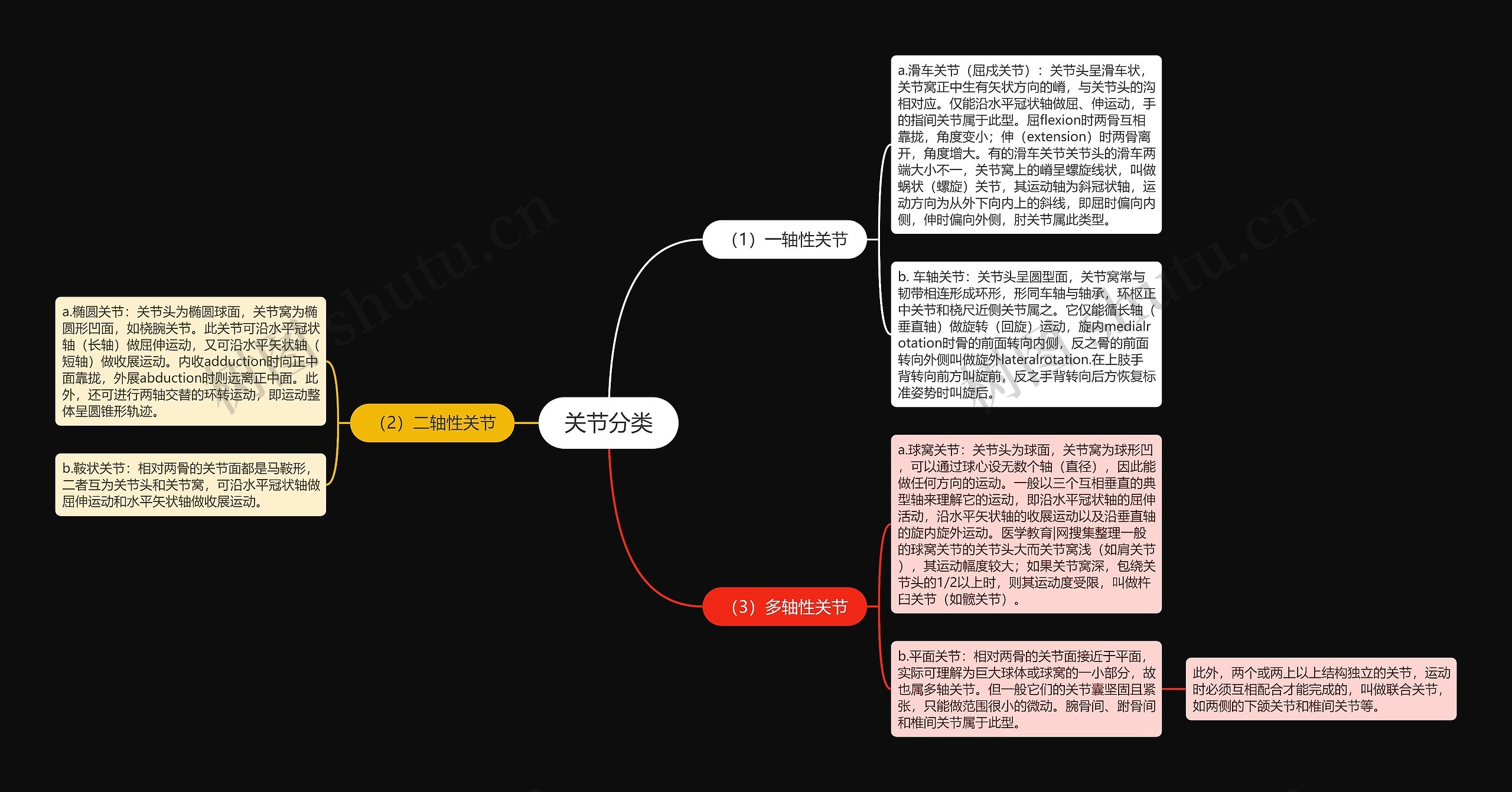 关节分类思维导图