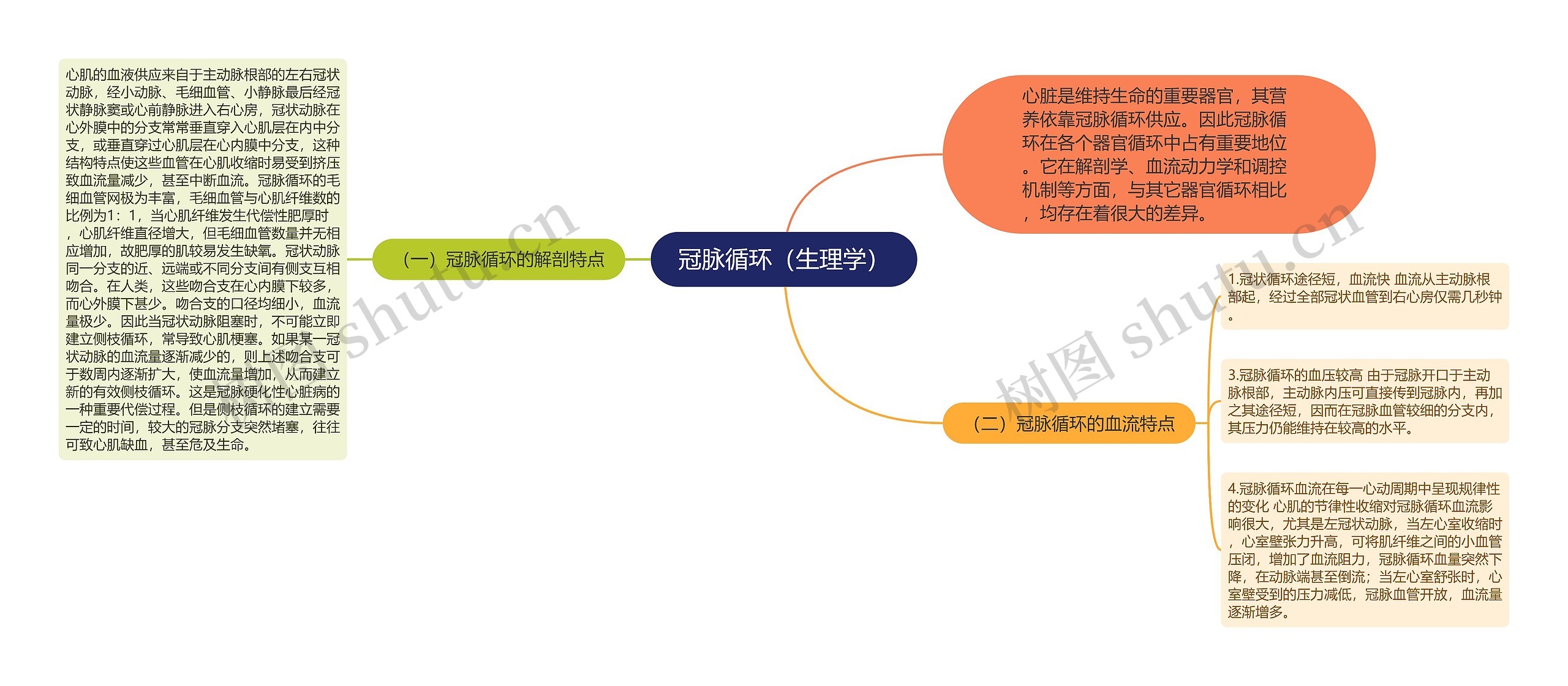 冠脉循环（生理学）