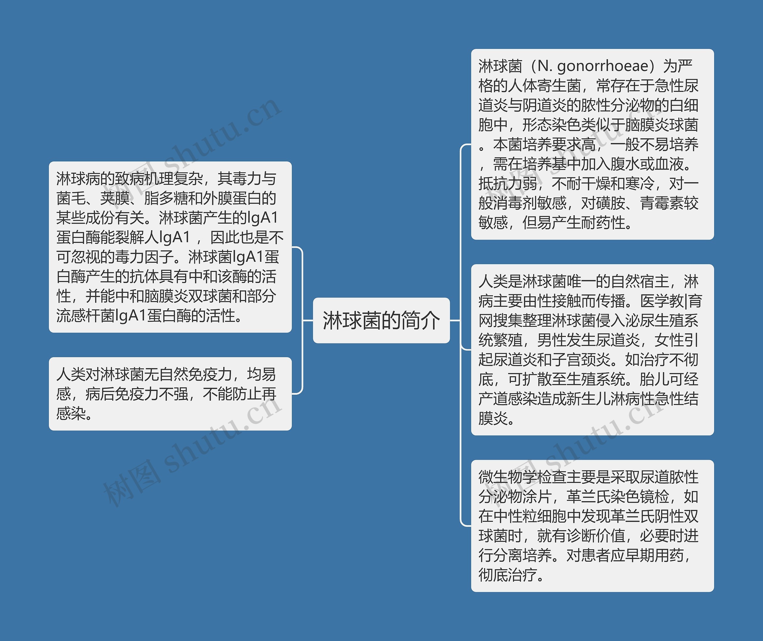 淋球菌的简介思维导图