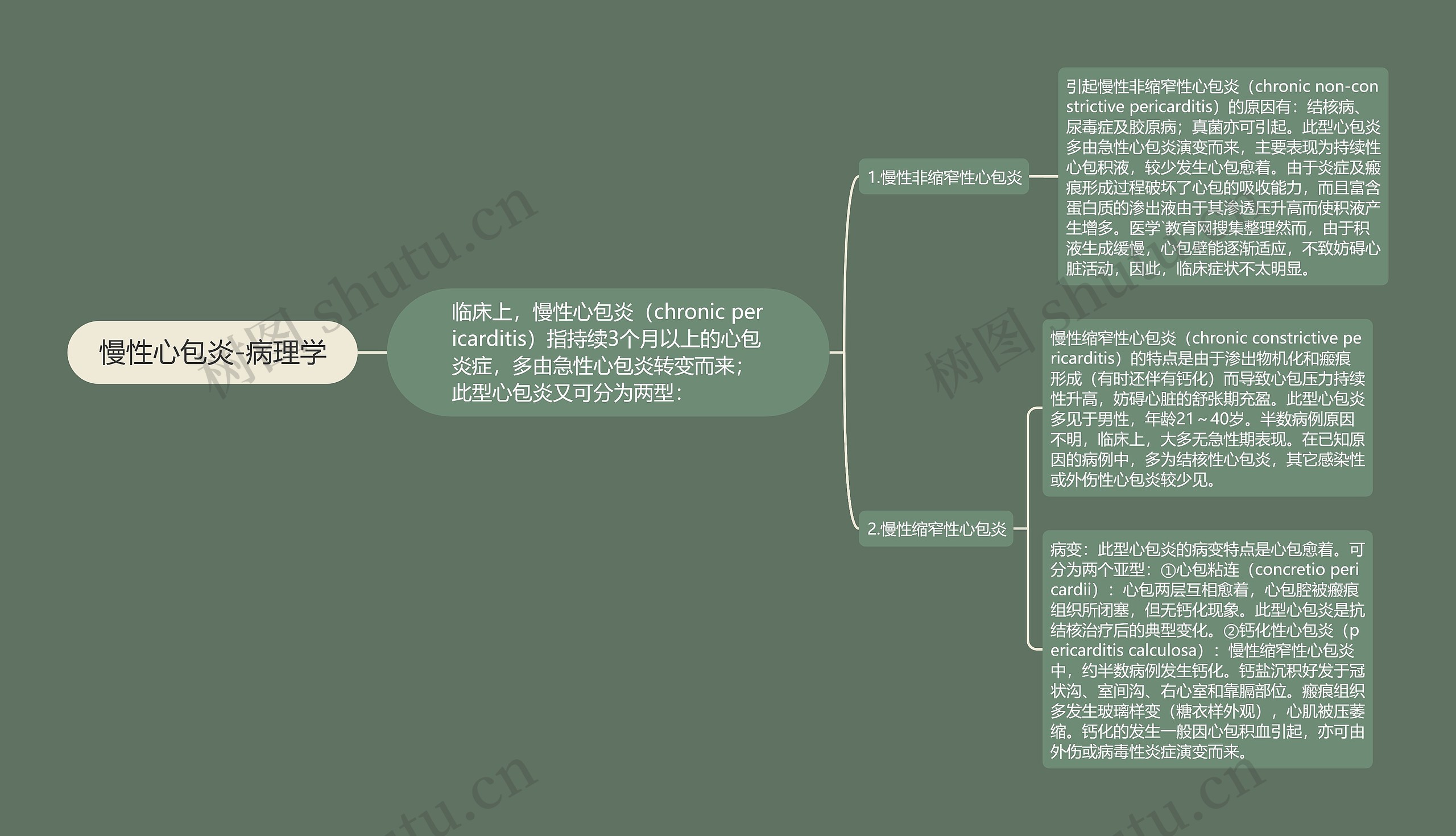 慢性心包炎-病理学 慢性心包炎-病理学