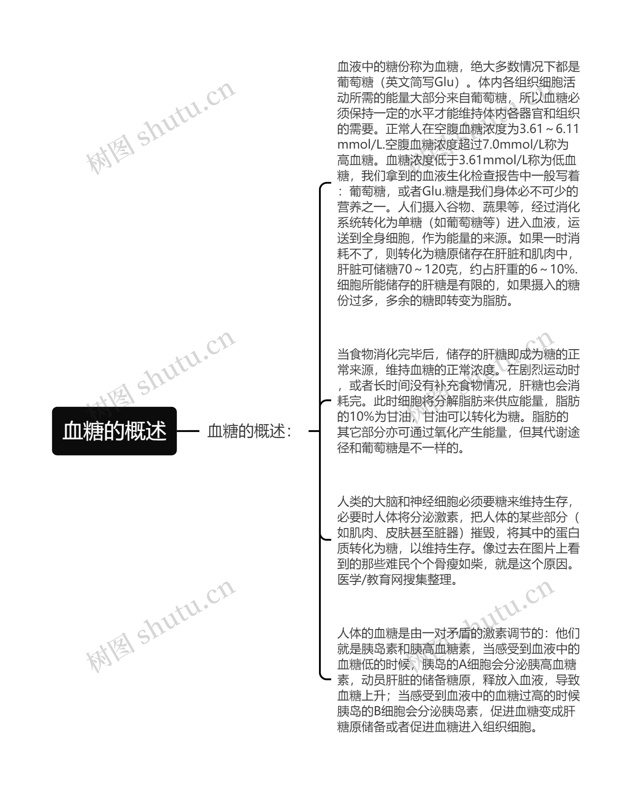 血糖的概述