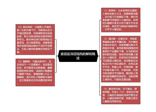 膝后区深层结构的解剖概述