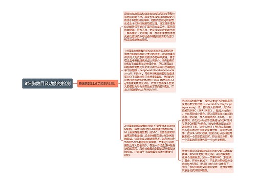 B细胞数目及功能的检测