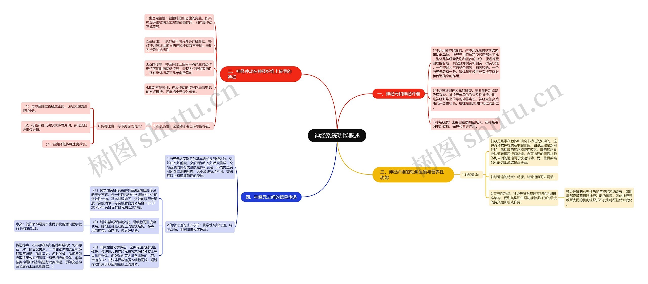 神经系统功能概述思维导图