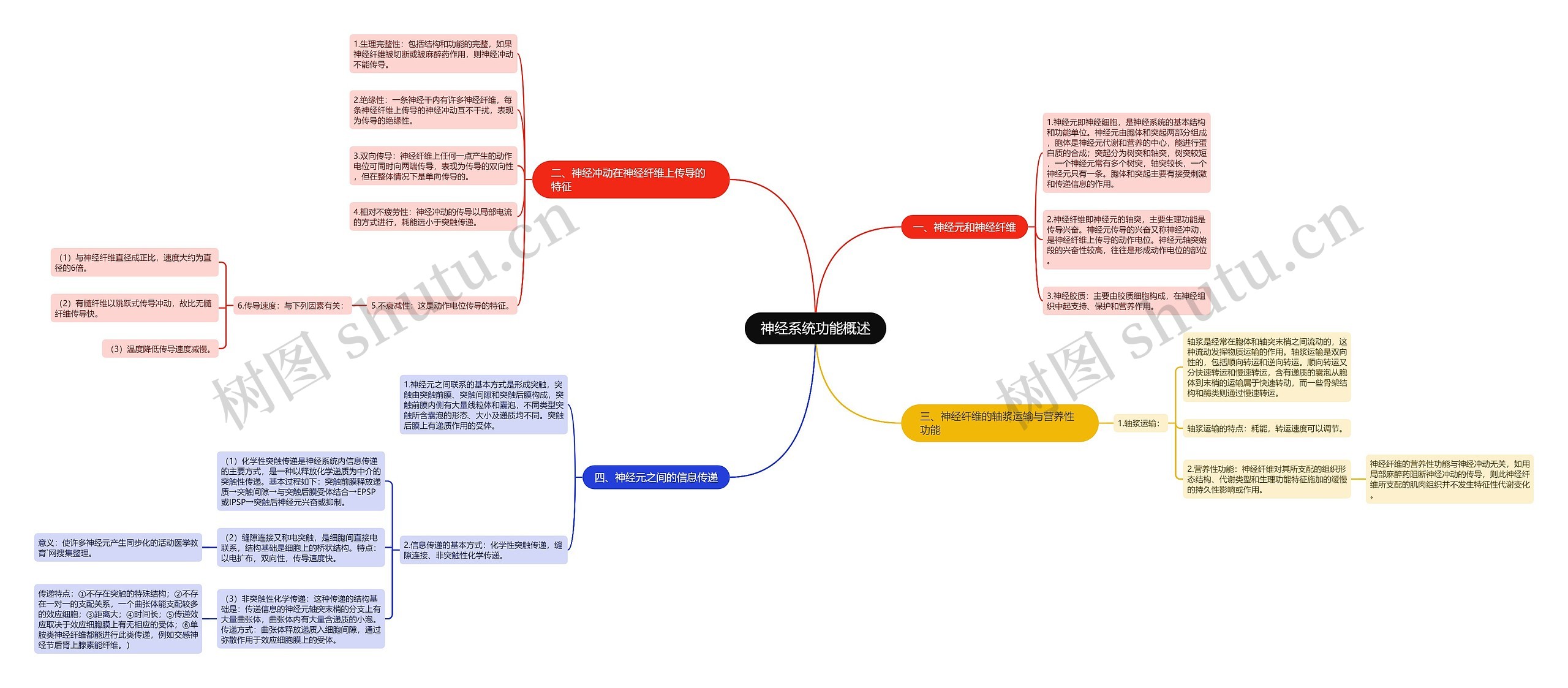 神经系统功能概述 神经系统功能概述