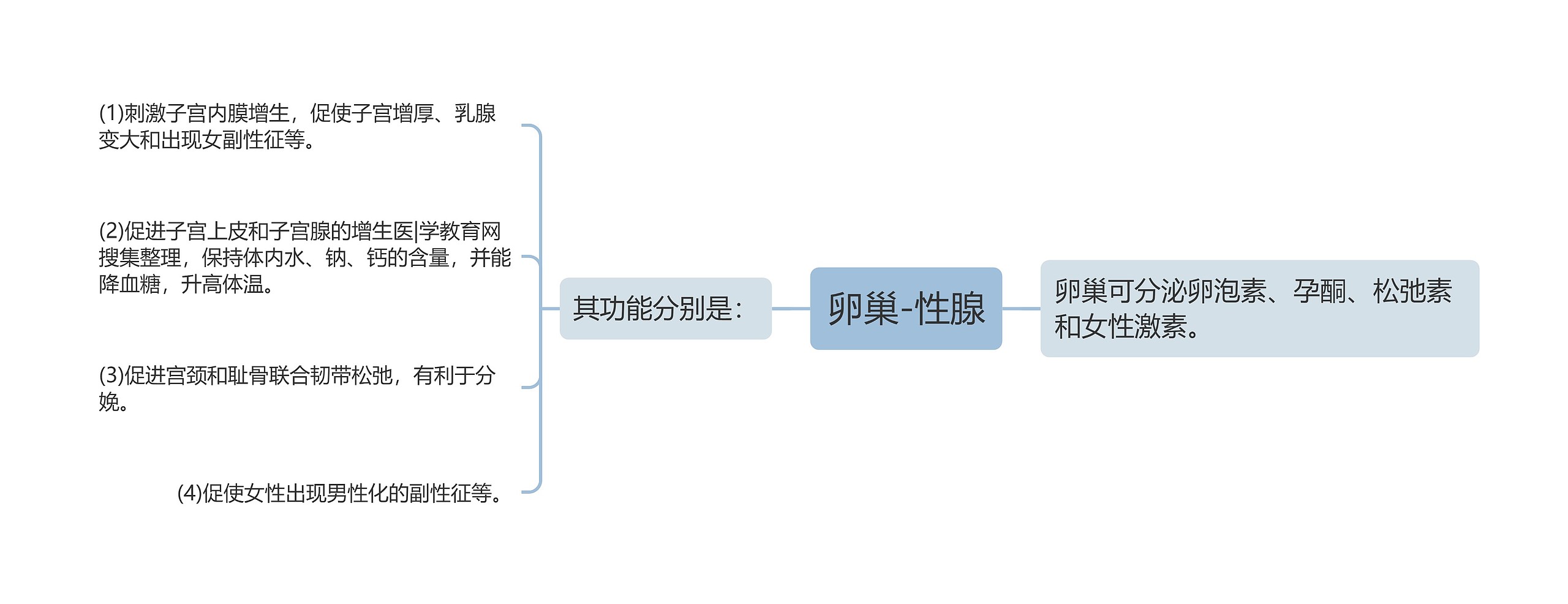 卵巢-性腺 卵巢-性腺