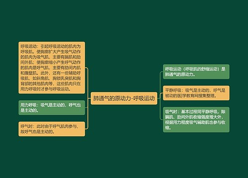 肺通气的原动力-呼吸运动