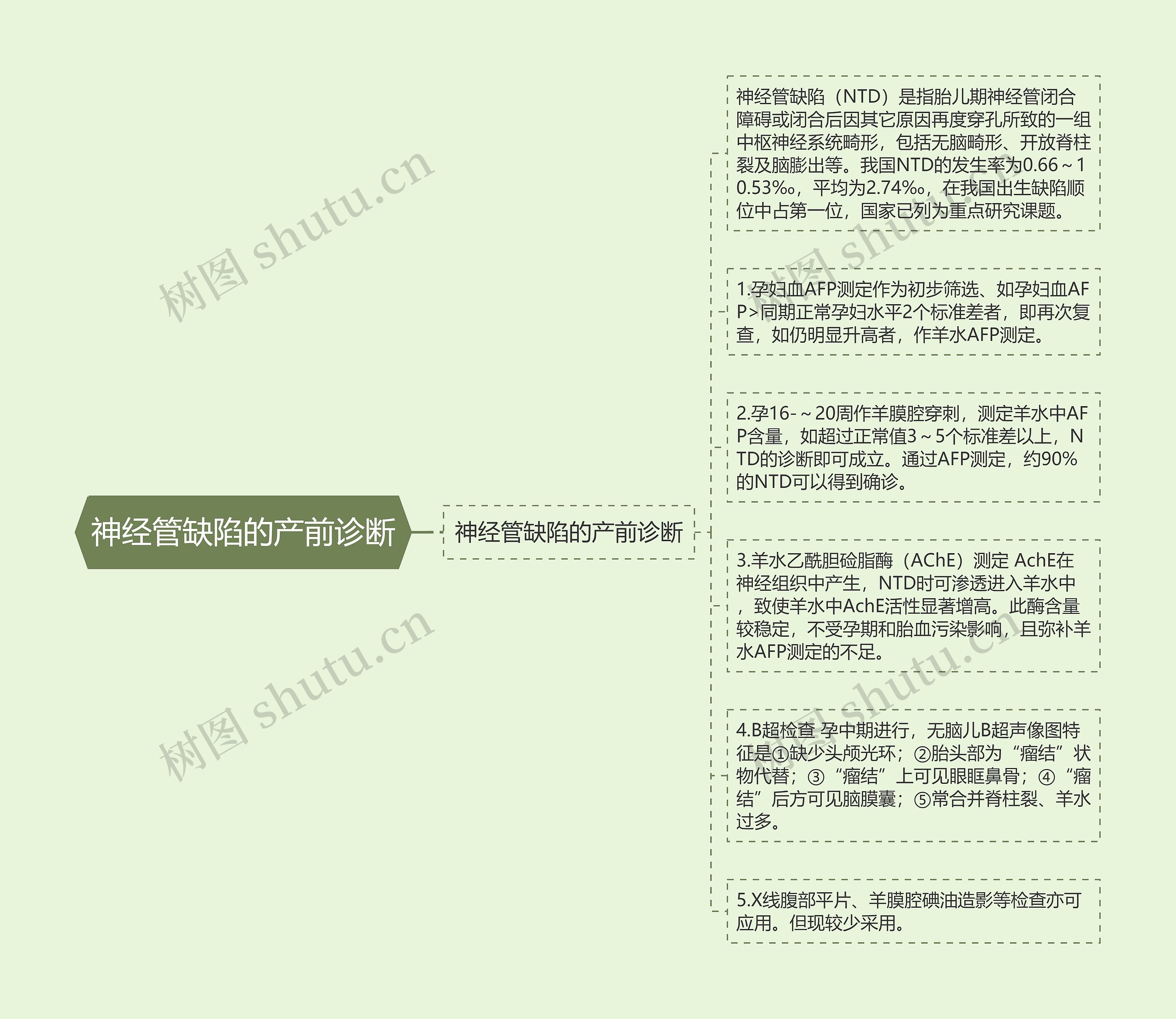 神经管缺陷的产前诊断 神经管缺陷的产前诊断