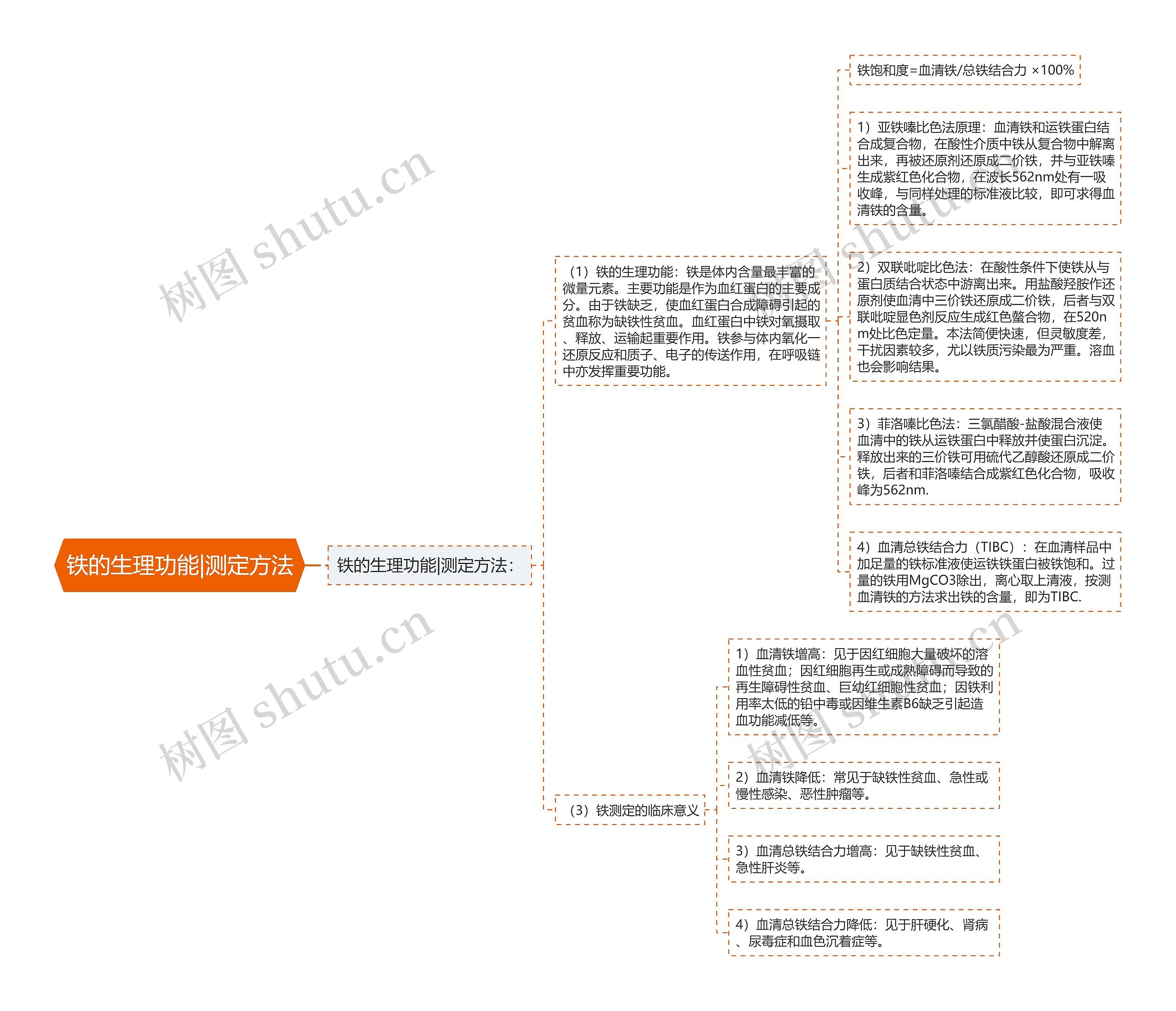 铁的生理功能|测定方法 铁的生理功能|测定方法