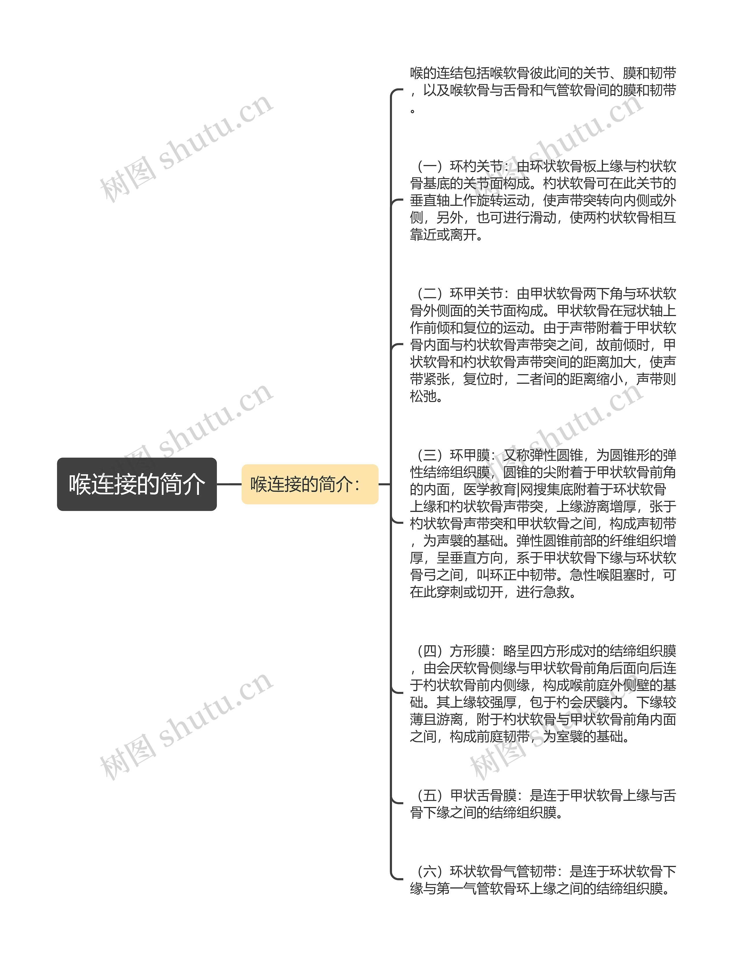喉连接的简介