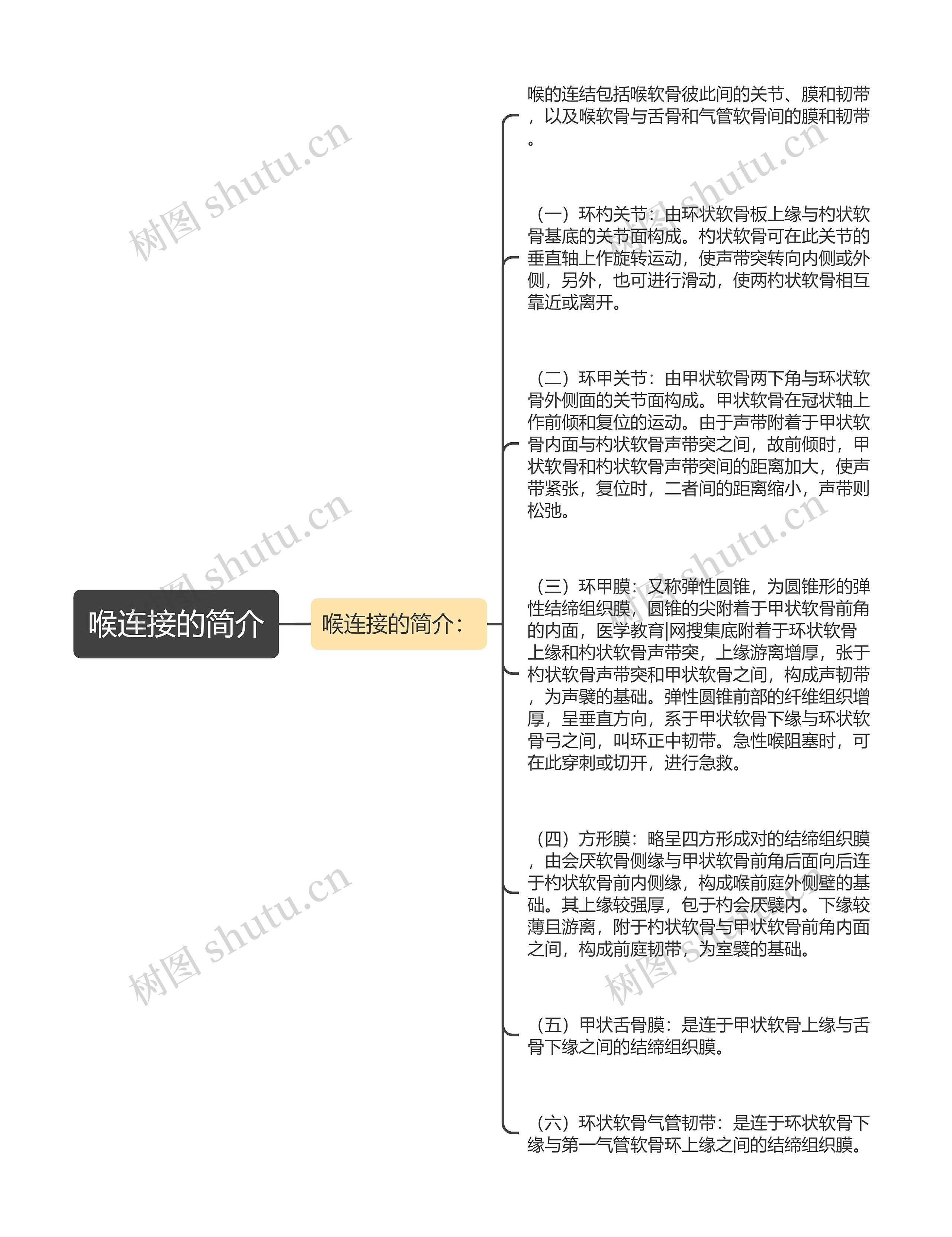 喉连接的简介思维导图