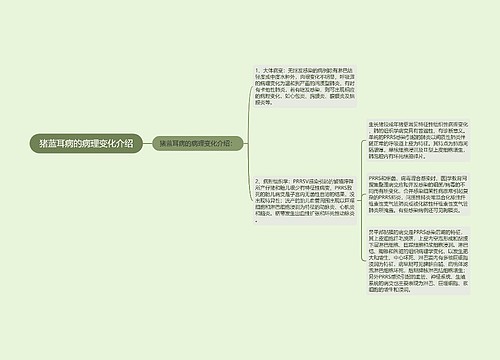 猪蓝耳病的病理变化介绍