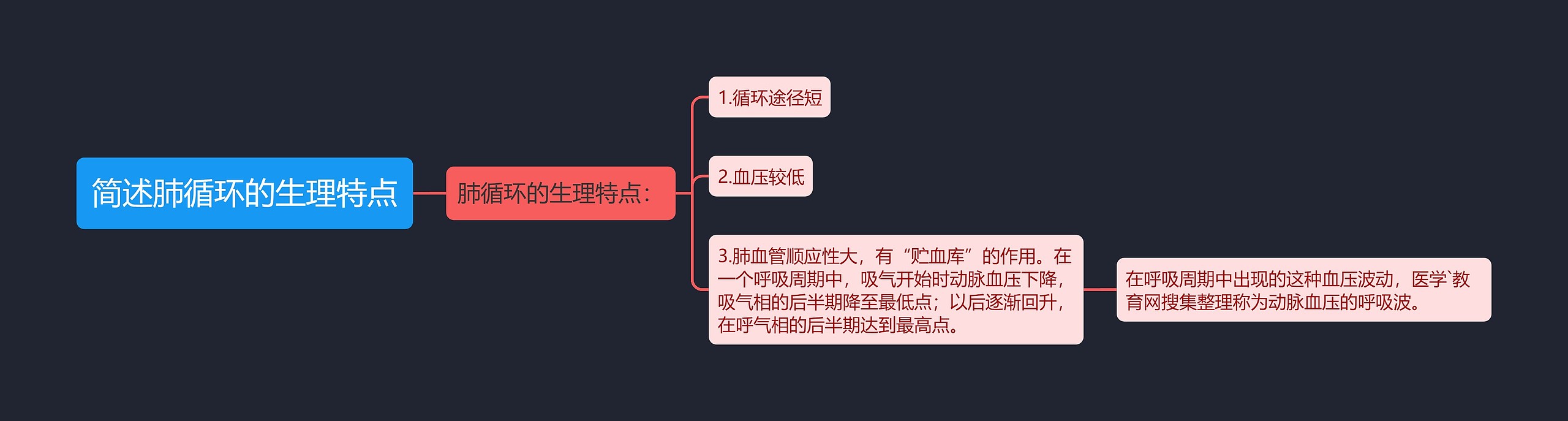 简述肺循环的生理特点思维导图