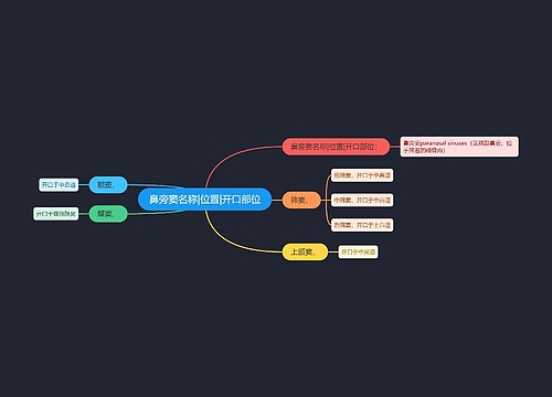 鼻旁窦名称|位置|开口部位